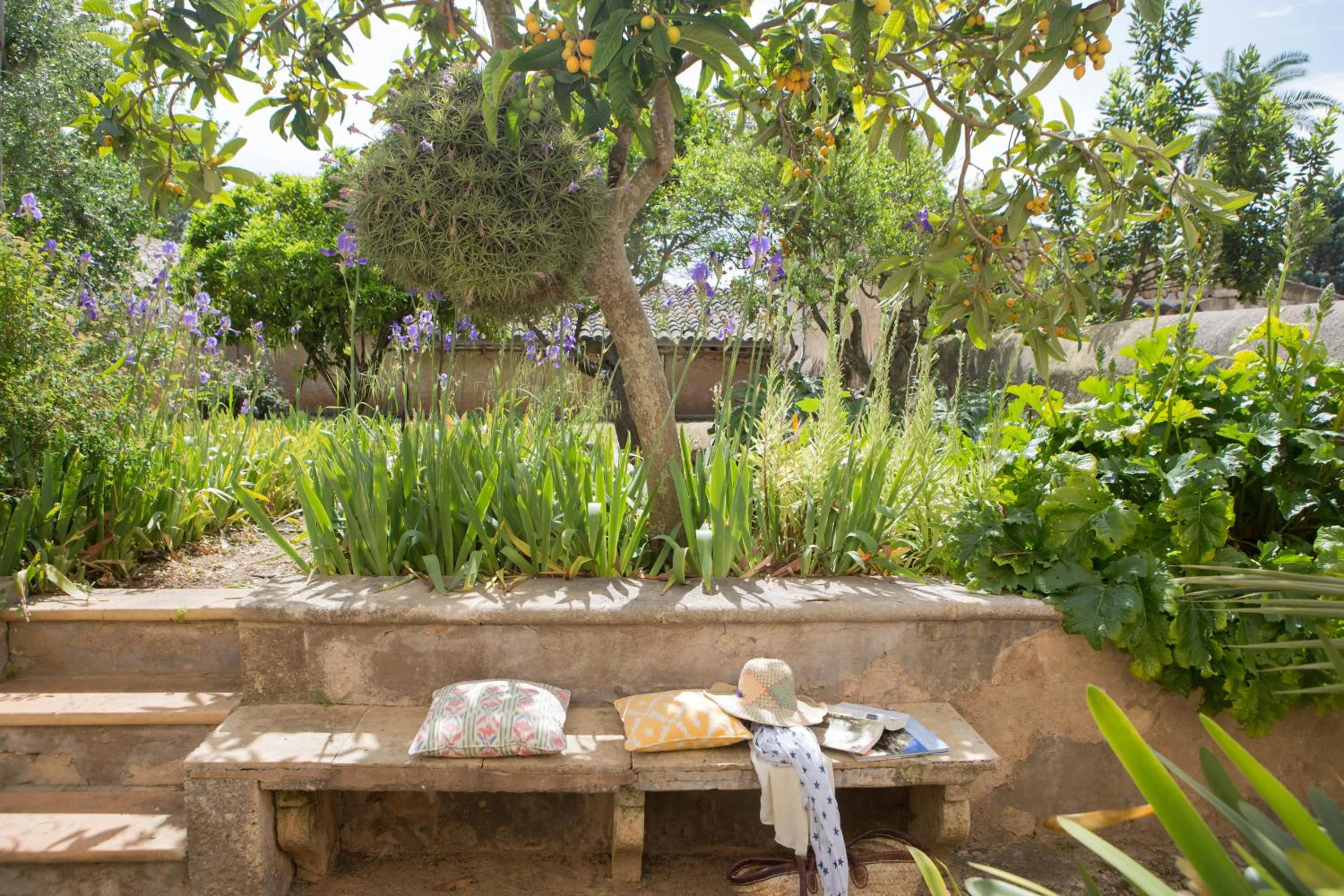 Garden in Agroturismo Es Pla De Llodrá