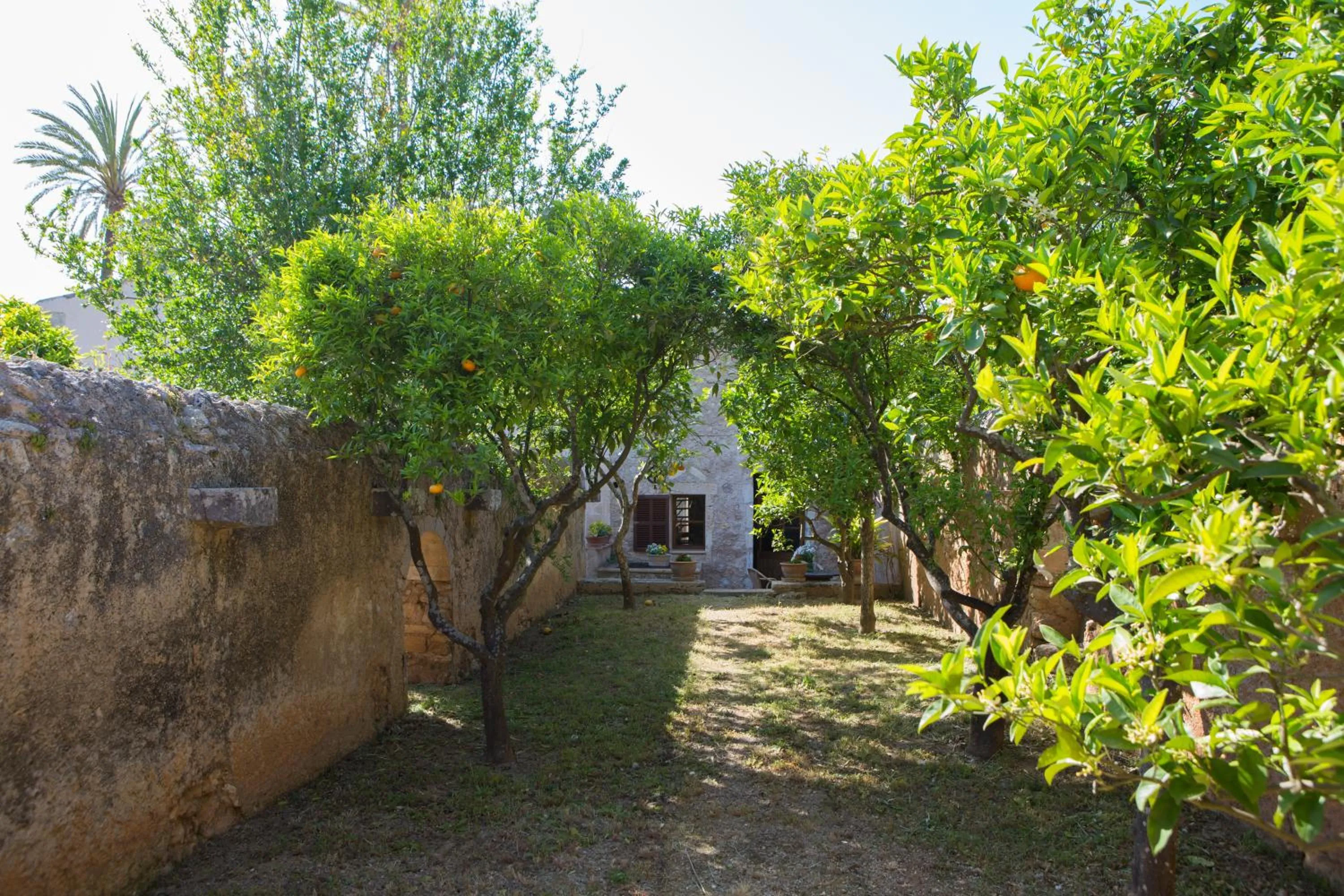 Garden in Agroturismo Es Pla De Llodrá