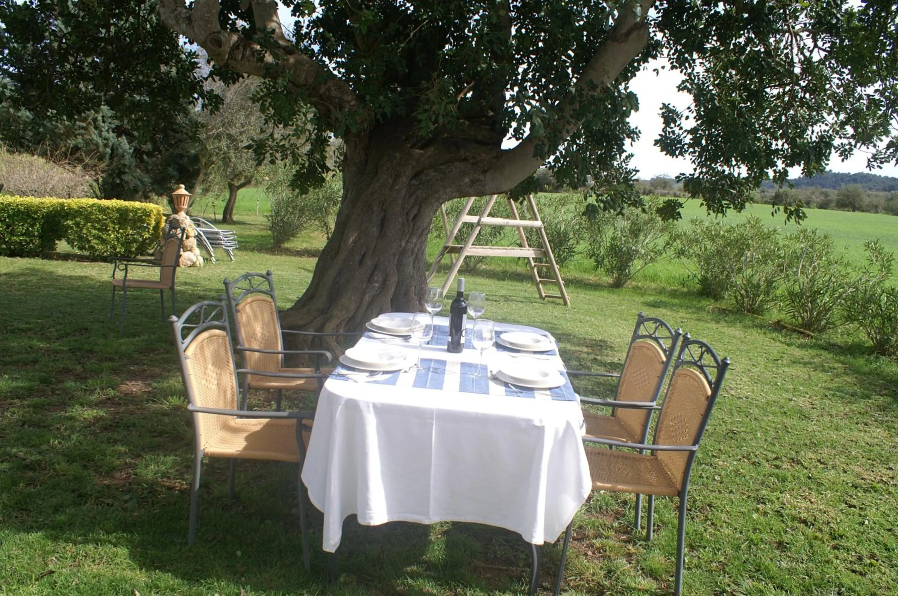 Garden in Agroturismo Es Pla De Llodrá