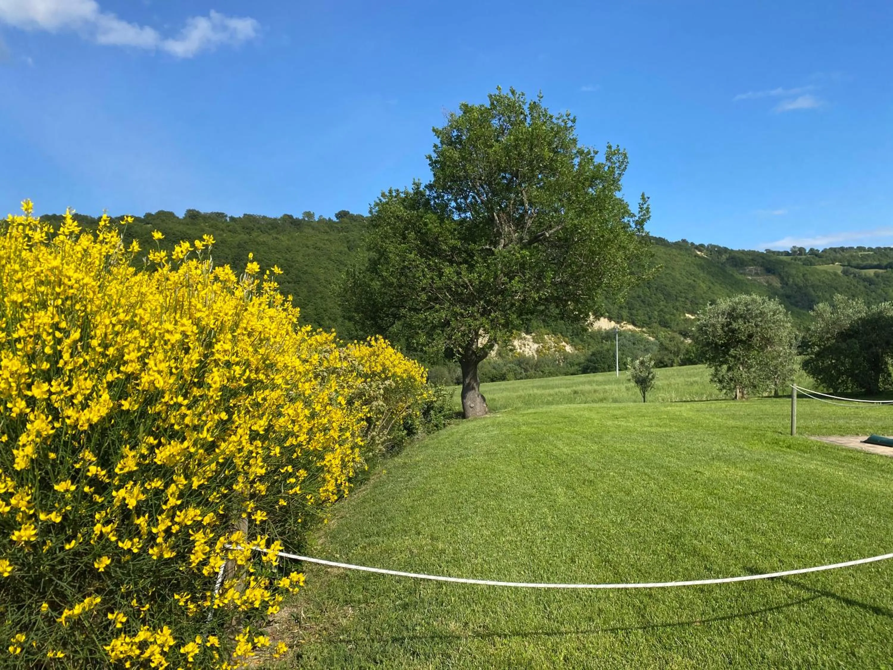 Garden in Amico Country House