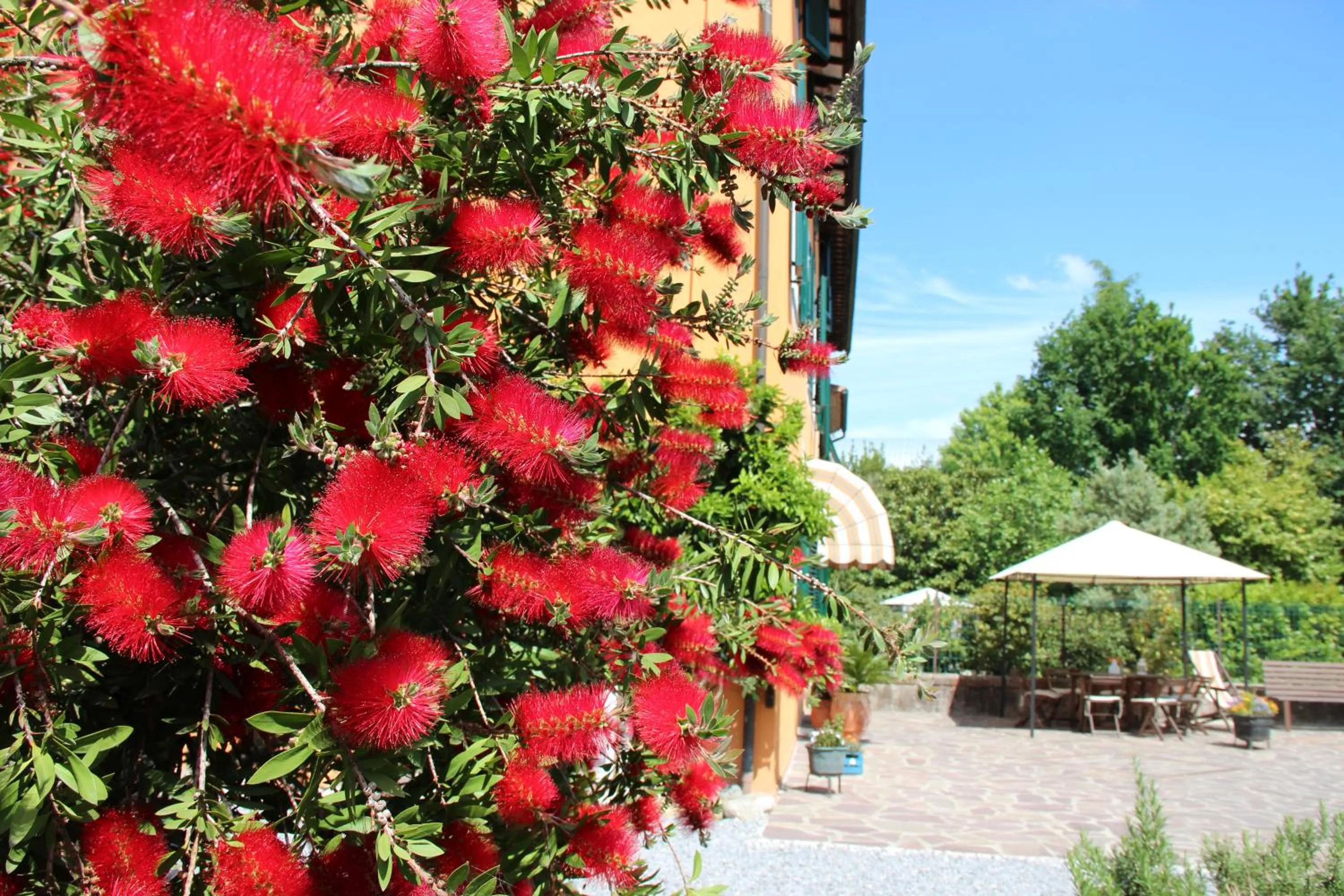 Spring in Bed & Breakfast Lucca Fora