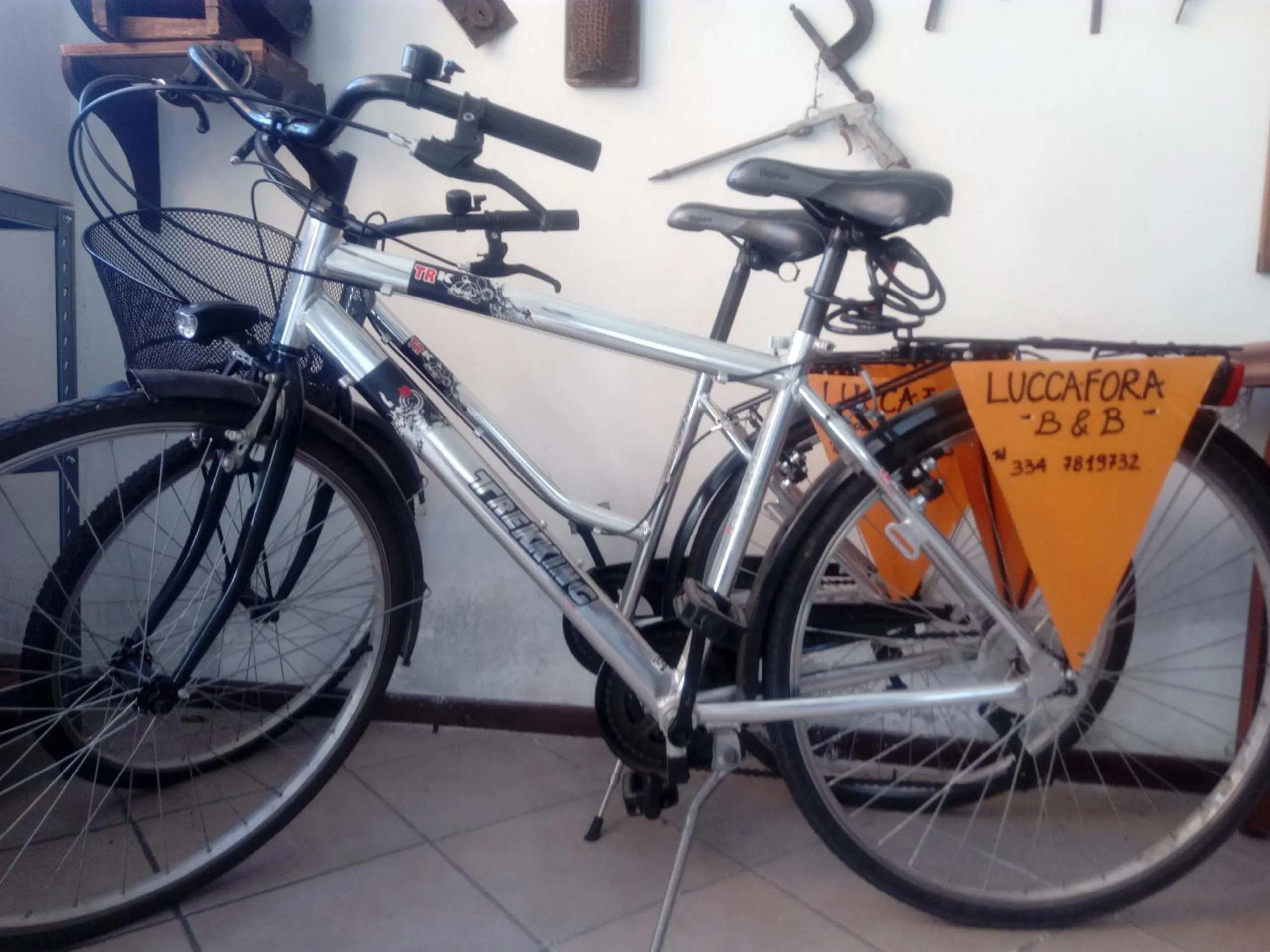 Cycling in Bed & Breakfast Lucca Fora