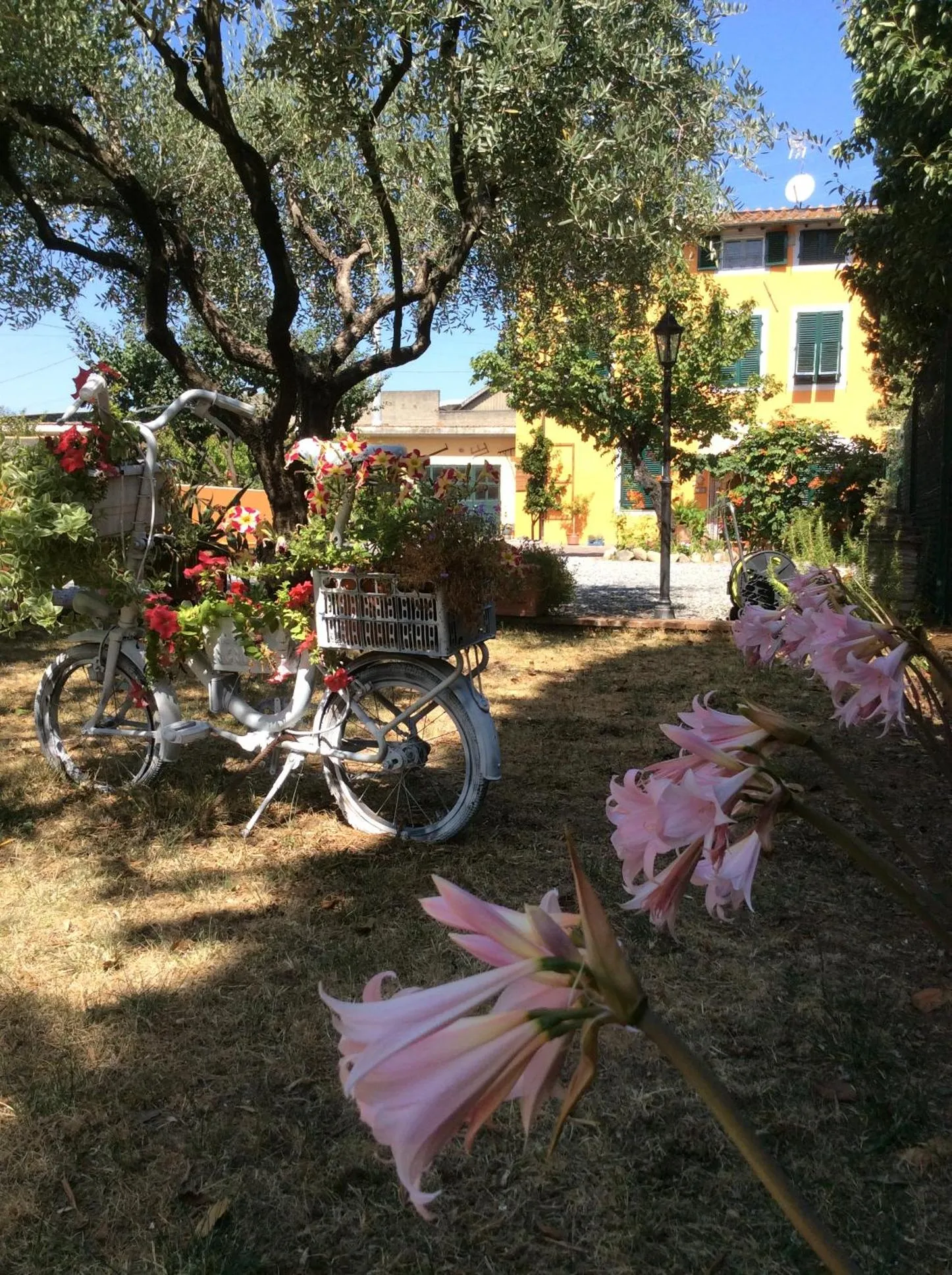 Garden in Bed & Breakfast Lucca Fora