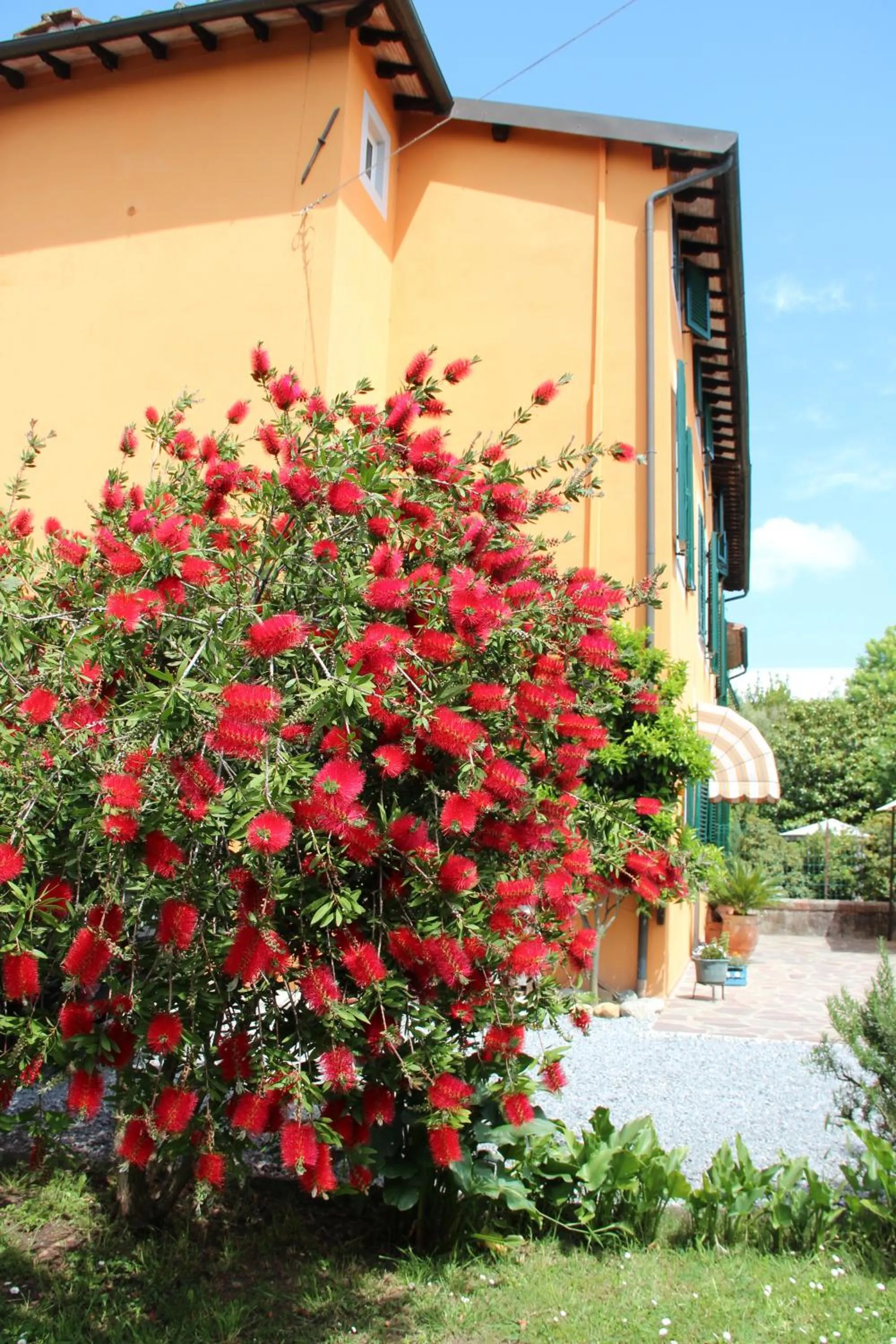 Garden in Bed & Breakfast Lucca Fora