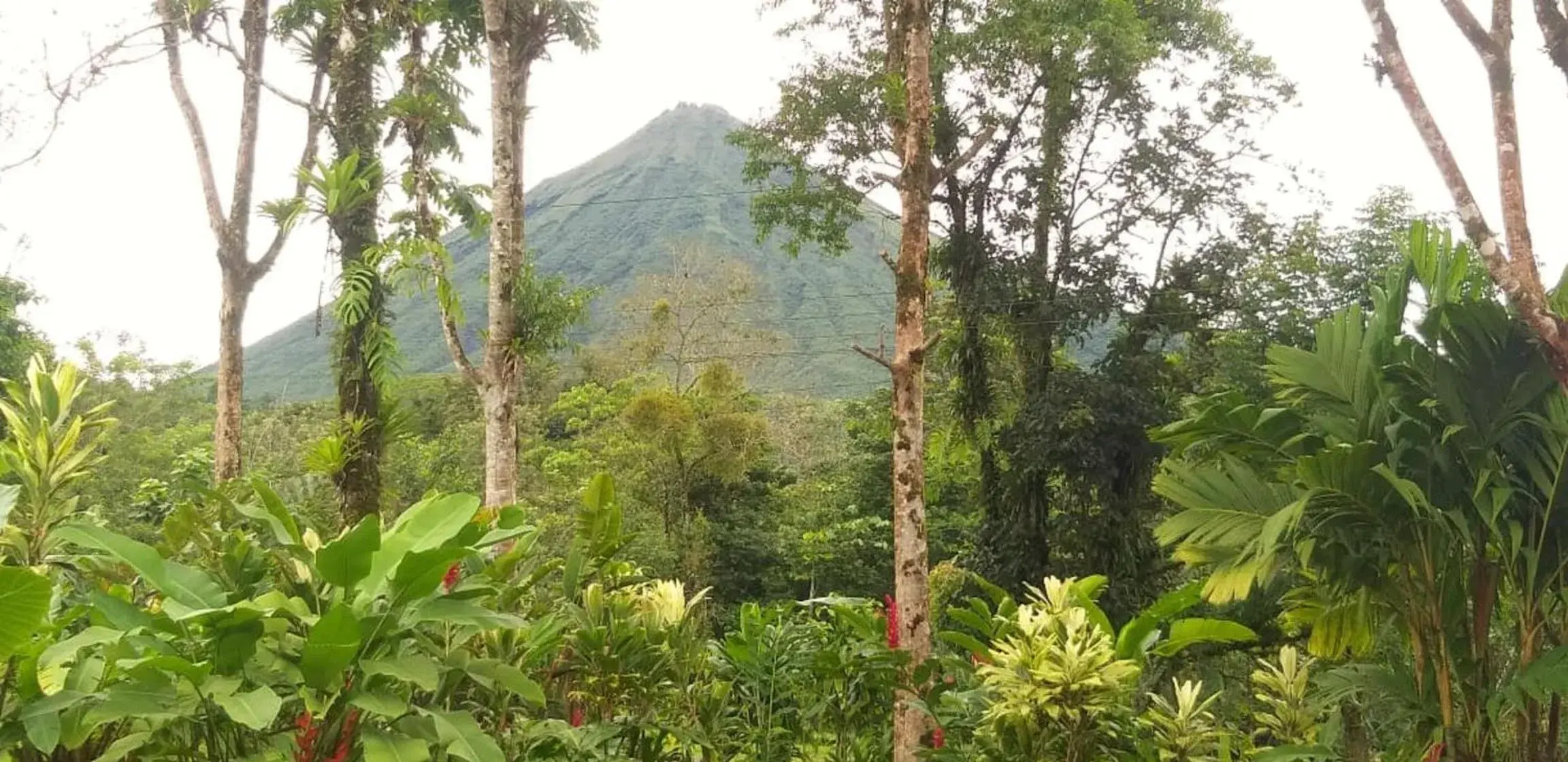 Villa in Tropical Suites & Villas Villa in Tropical Suites & Villas