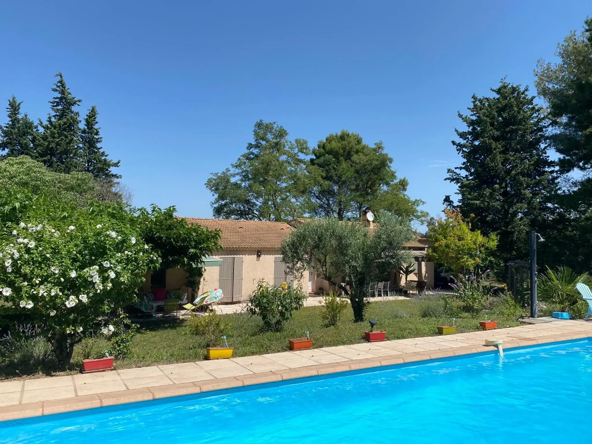 « CARPE DIEM » « CARPE DIEM »