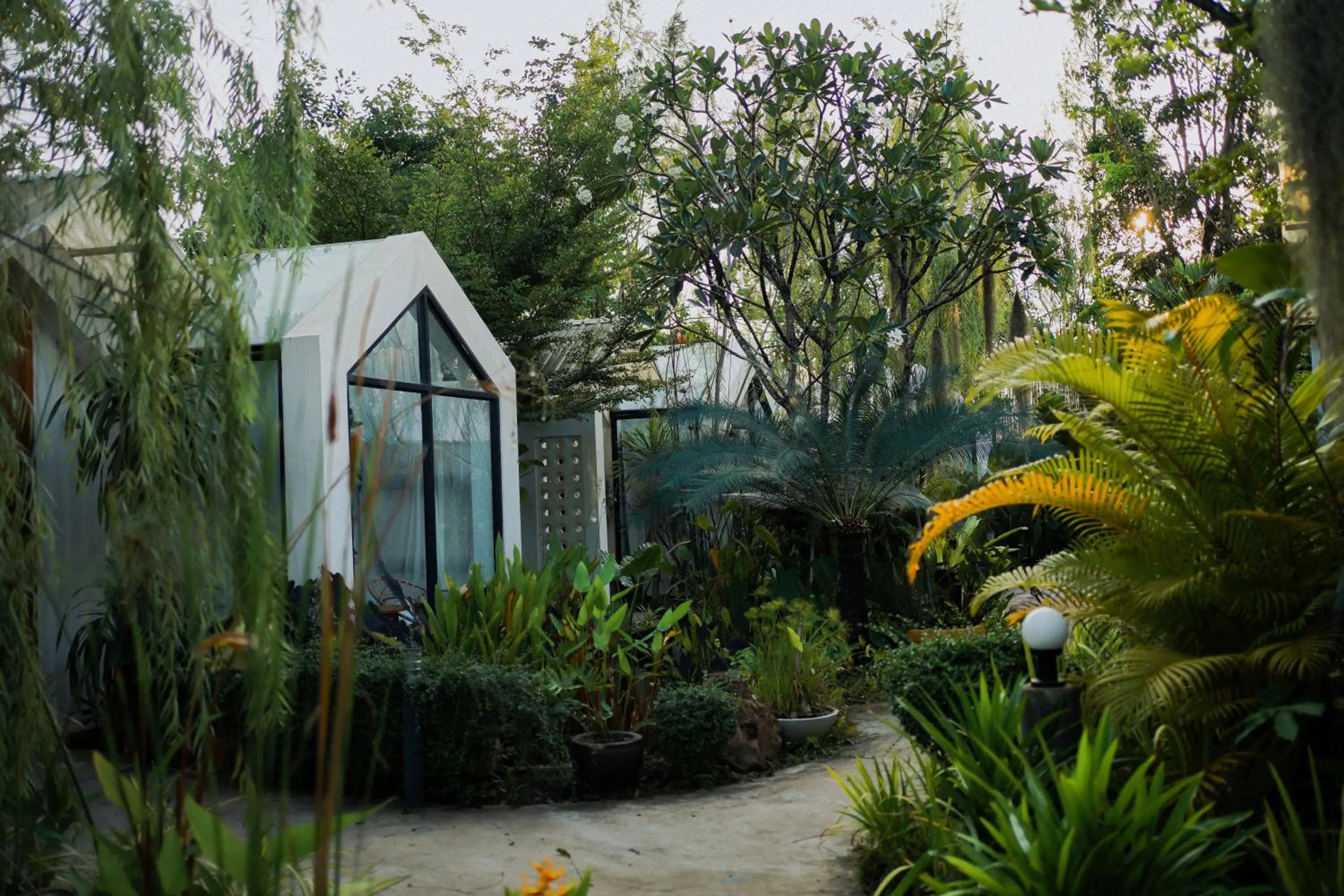 Property building in Montagne Residence