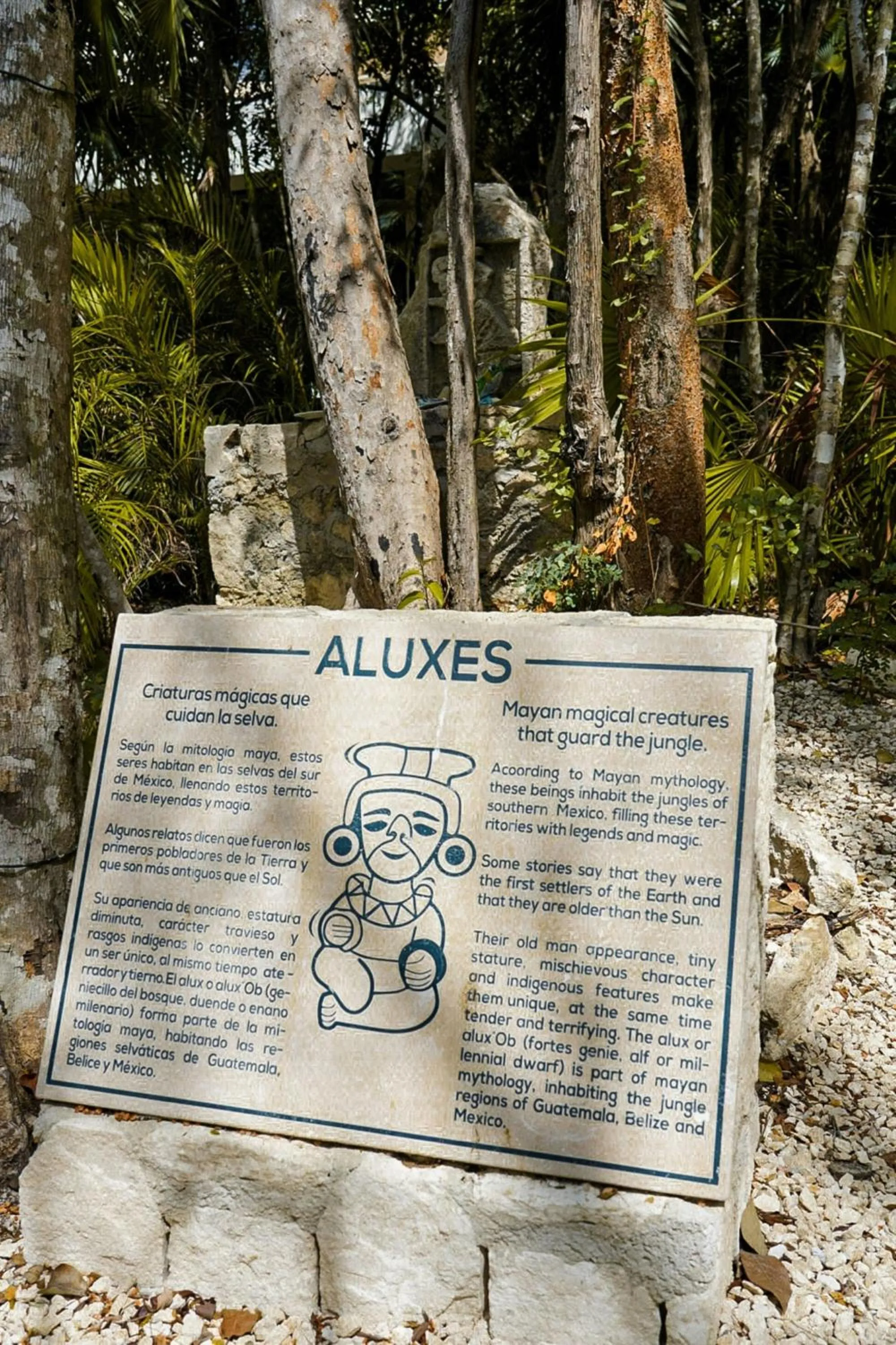 View (from property/room) in Aloft Tulum