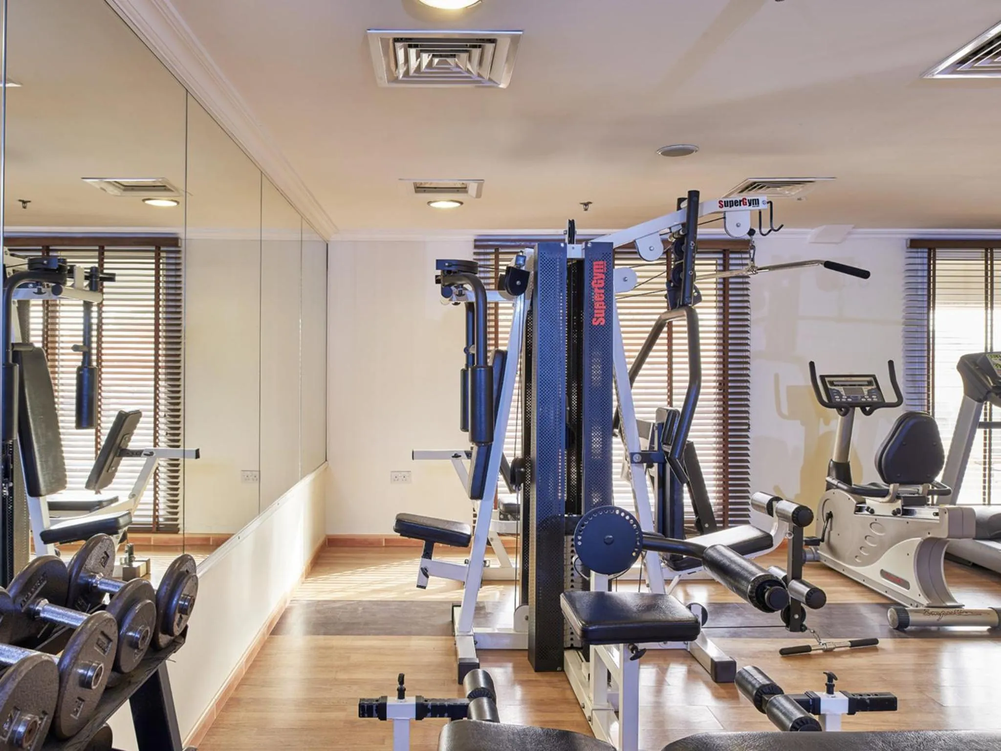 Fitness centre/facilities in Arabian Dreams Hotel Apartments
