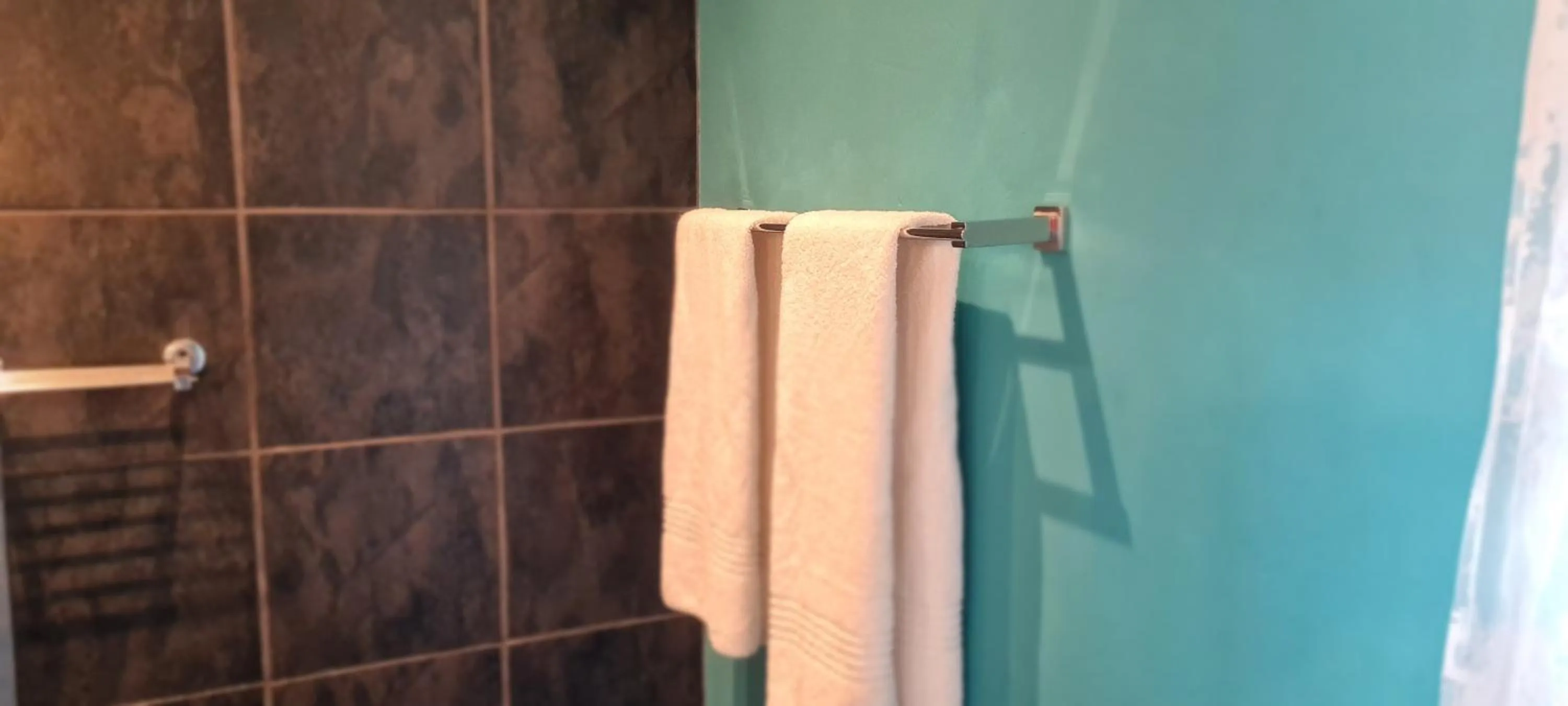 Shower in Mosswood Bed & Breakfast