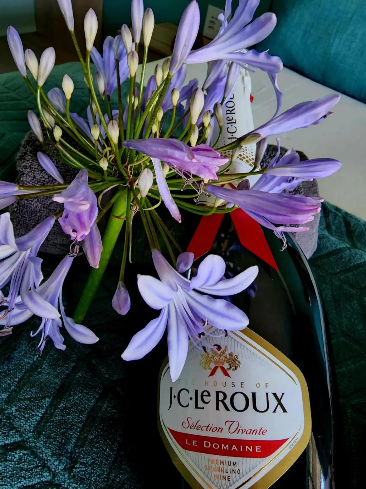 Food and drinks in Mosswood Bed & Breakfast