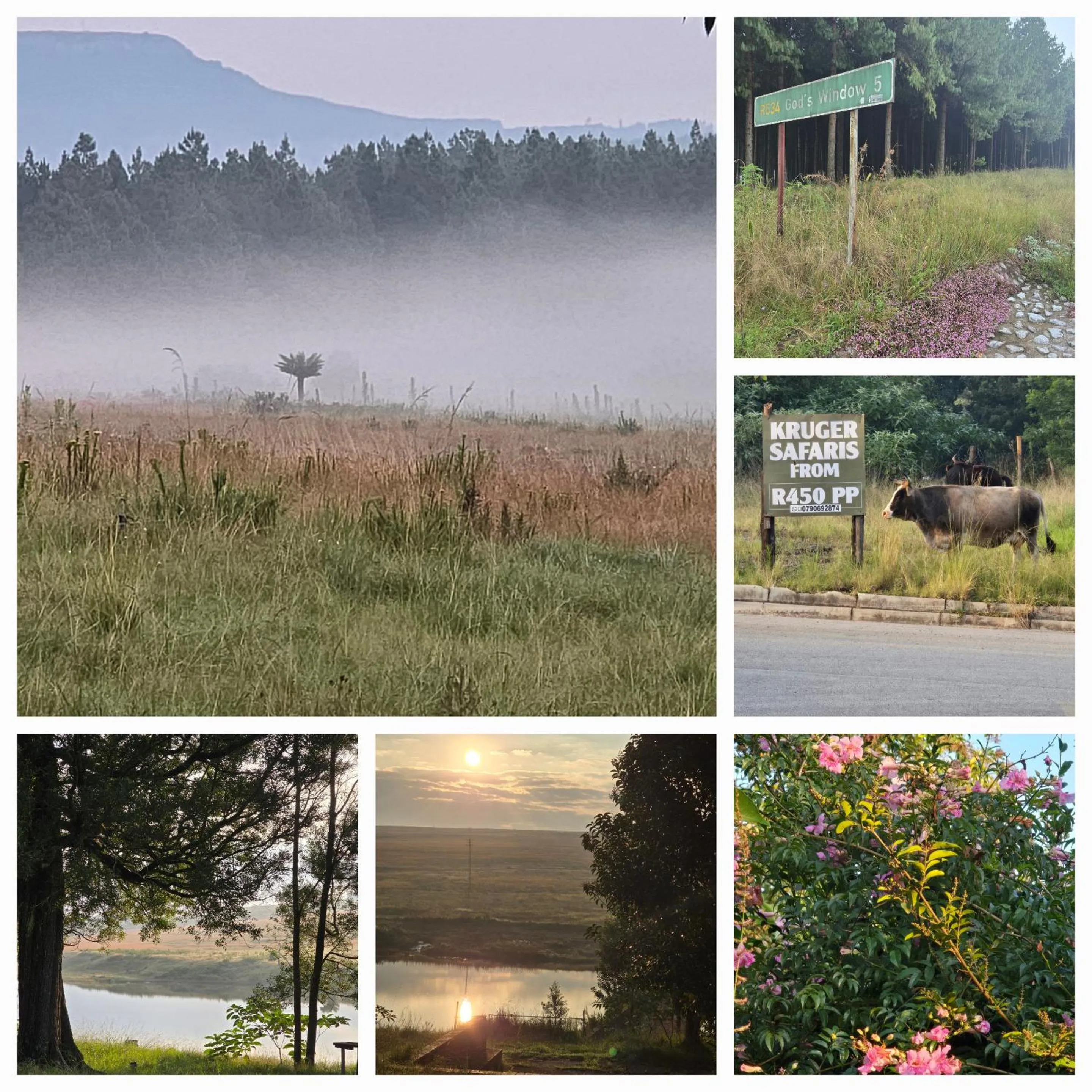 Nearby landmark in Mosswood Bed & Breakfast