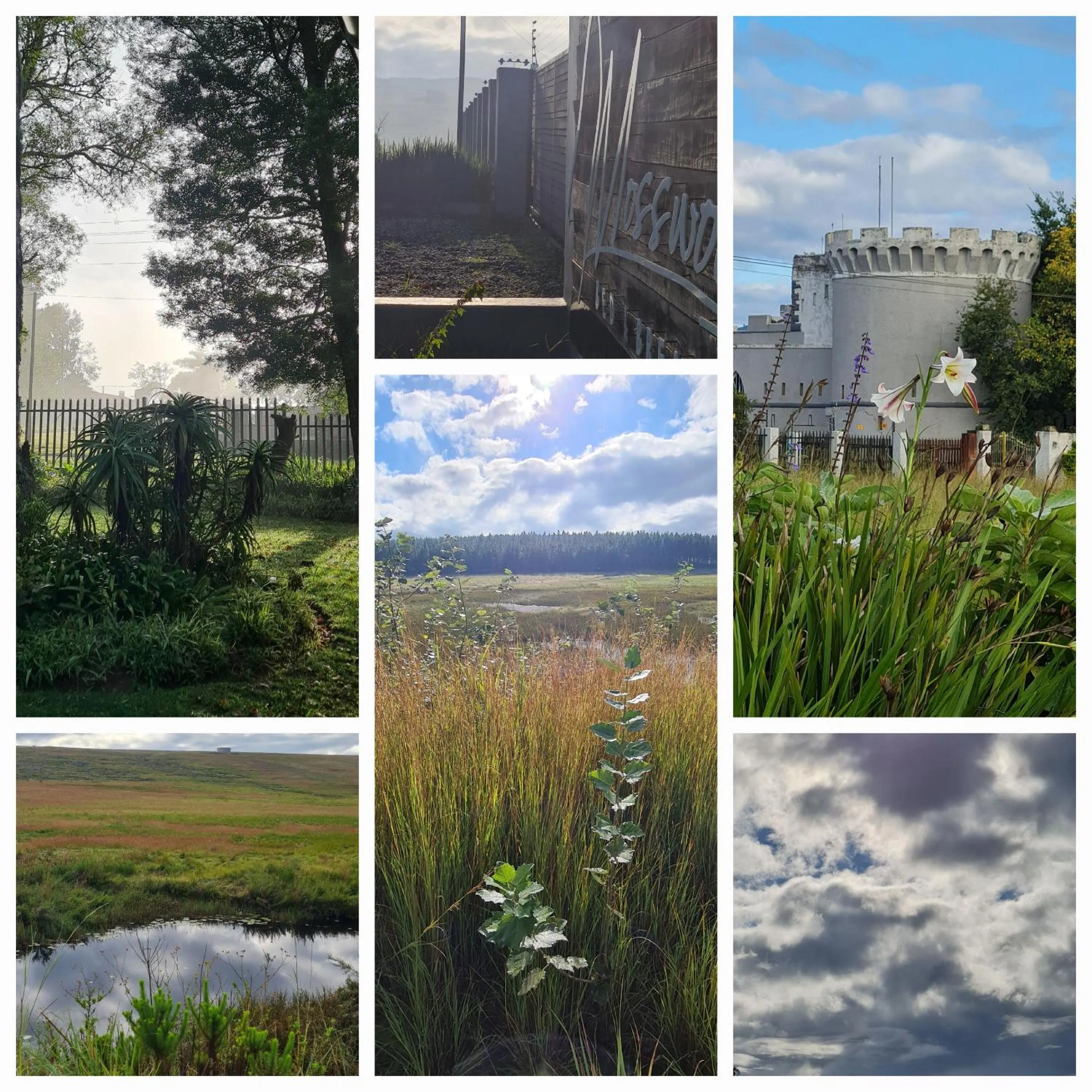 Nearby landmark in Mosswood Bed & Breakfast