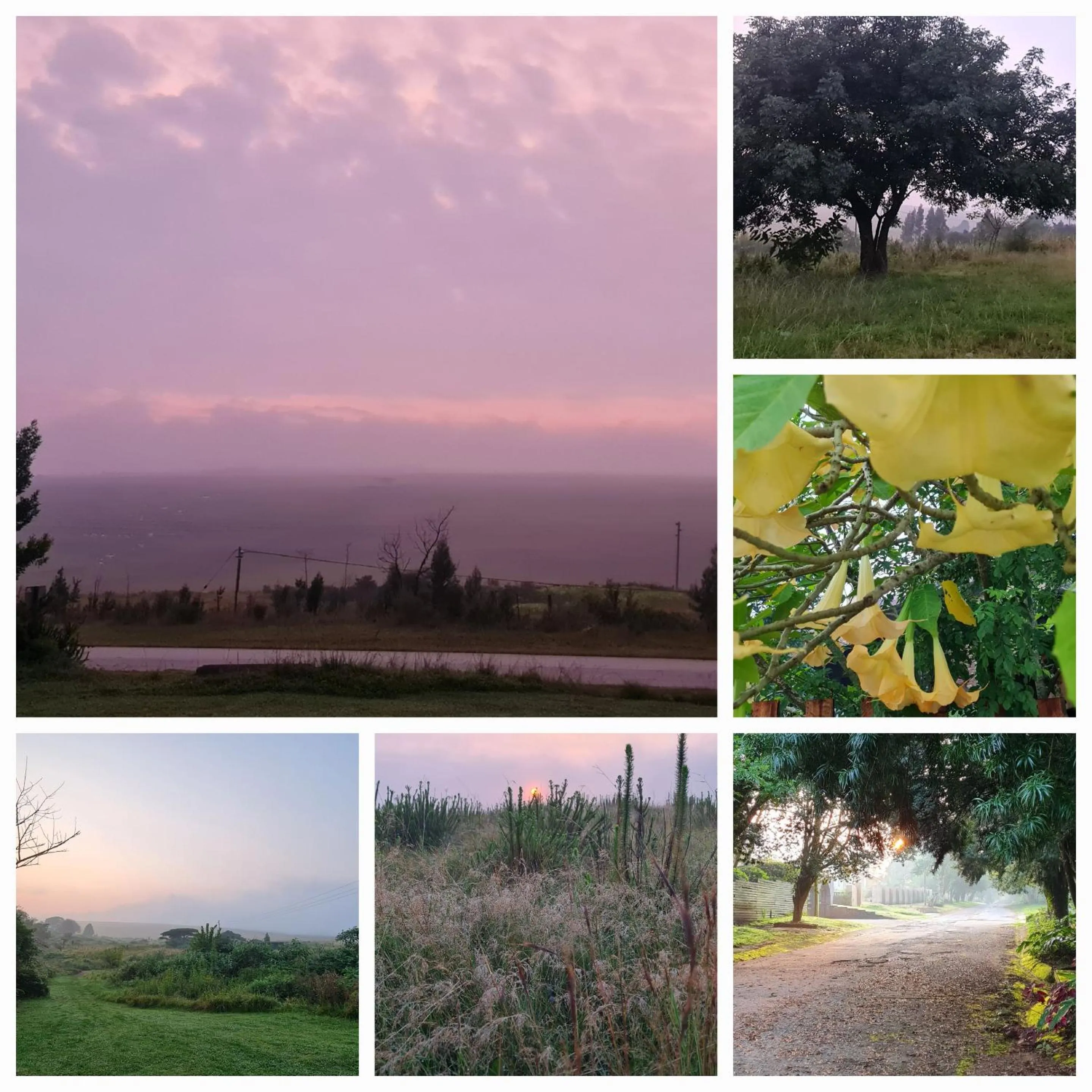 Neighbourhood in Mosswood Bed & Breakfast