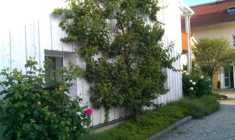 Ferienwohnung Schuster