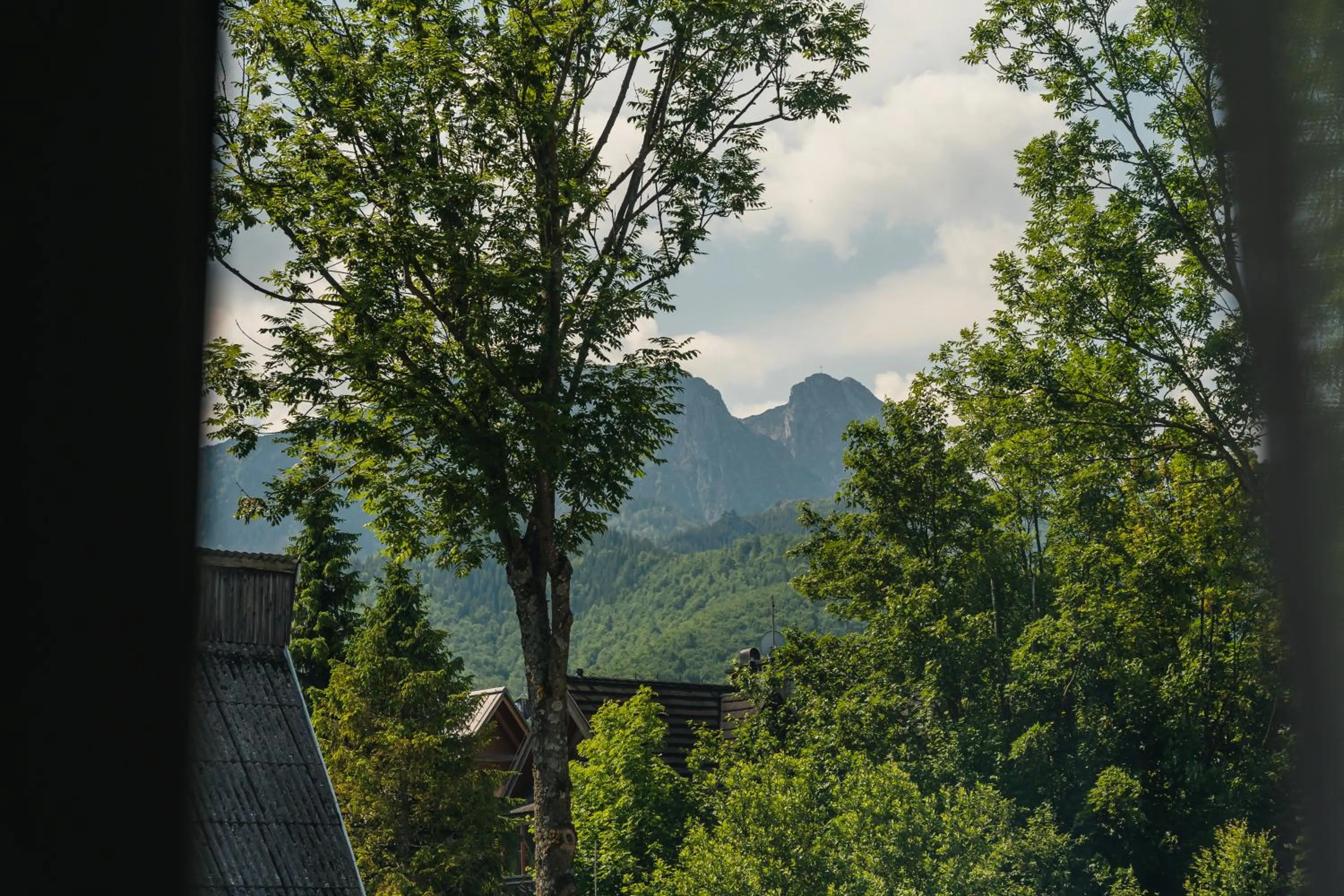 Rewita Zakopane