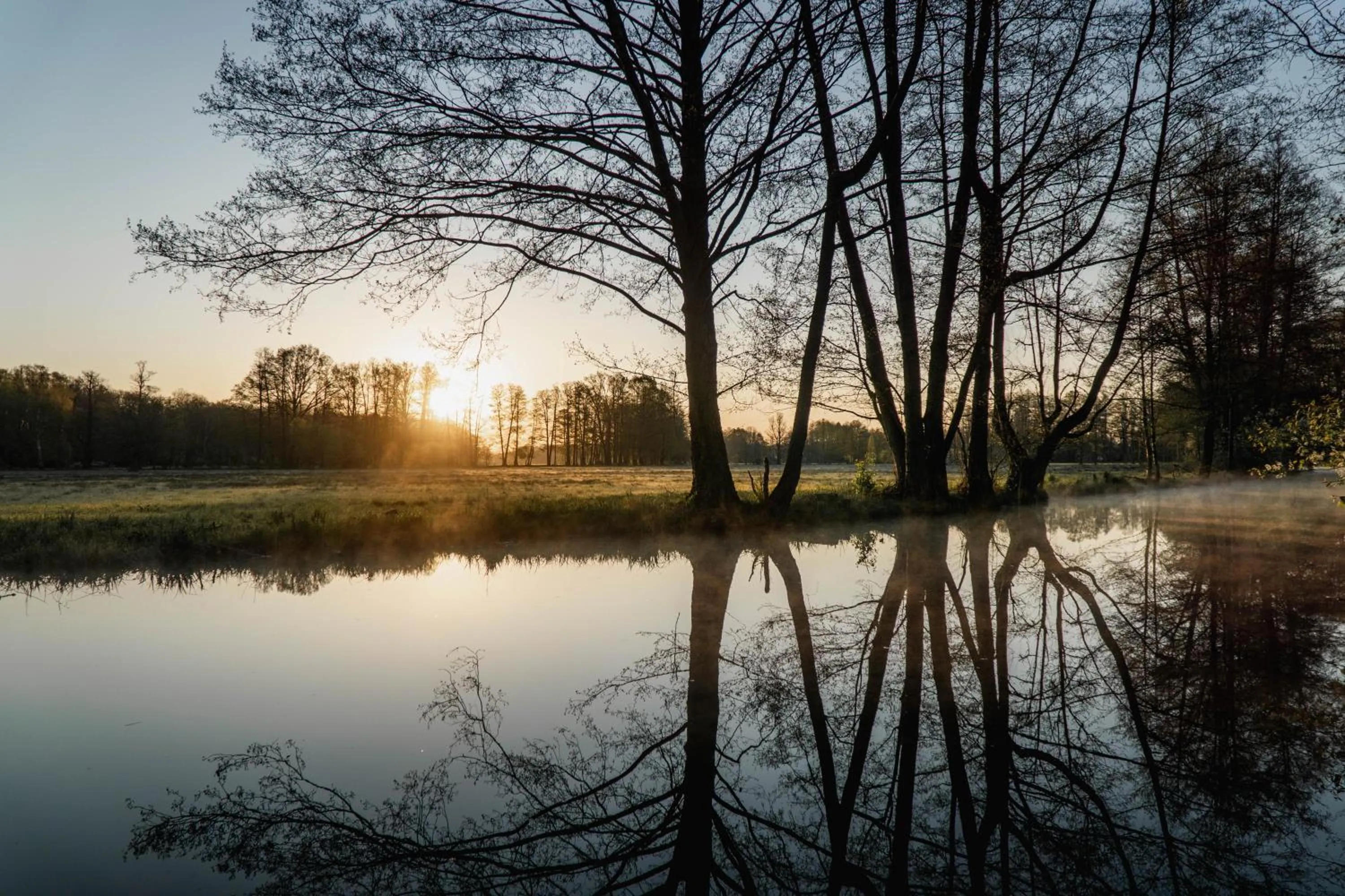 Natural landscape in Waldhotel Eiche