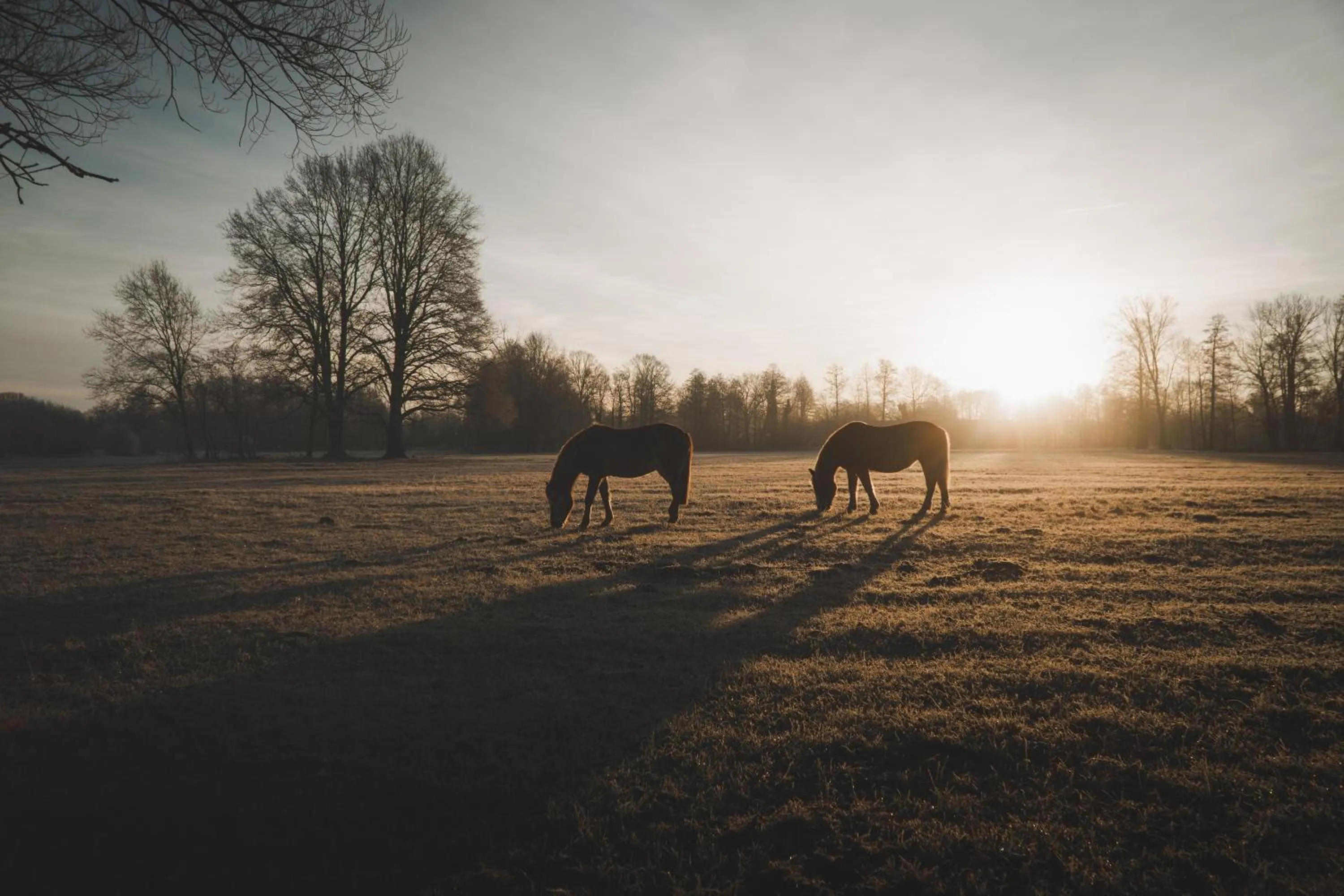 Staff in Waldhotel Eiche