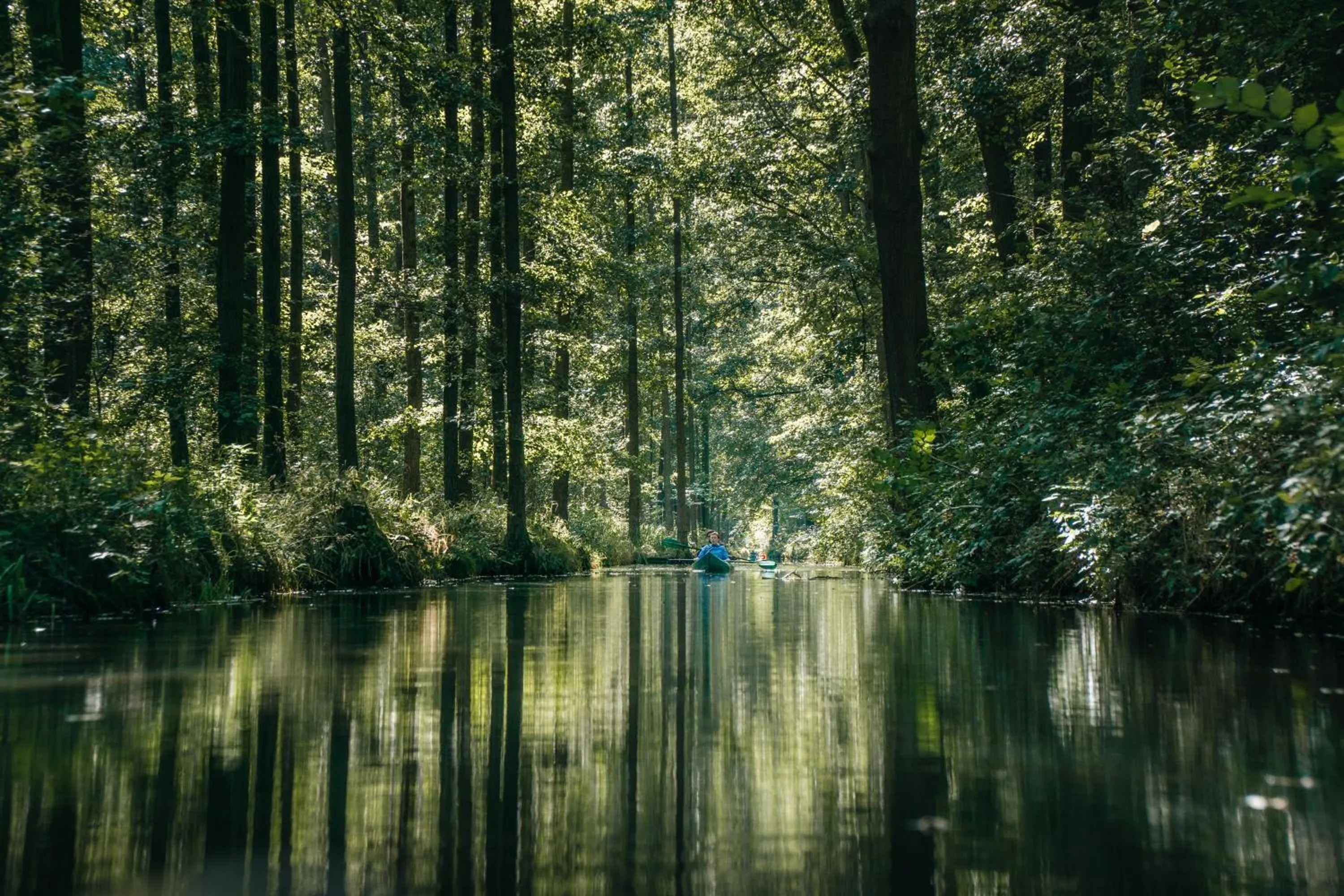 Natural landscape in Waldhotel Eiche