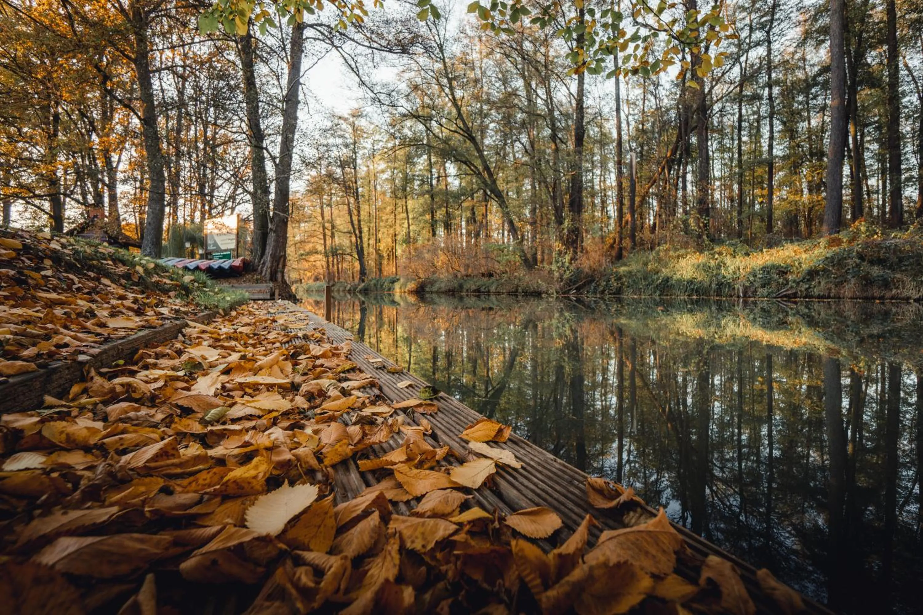 Garden in Waldhotel Eiche