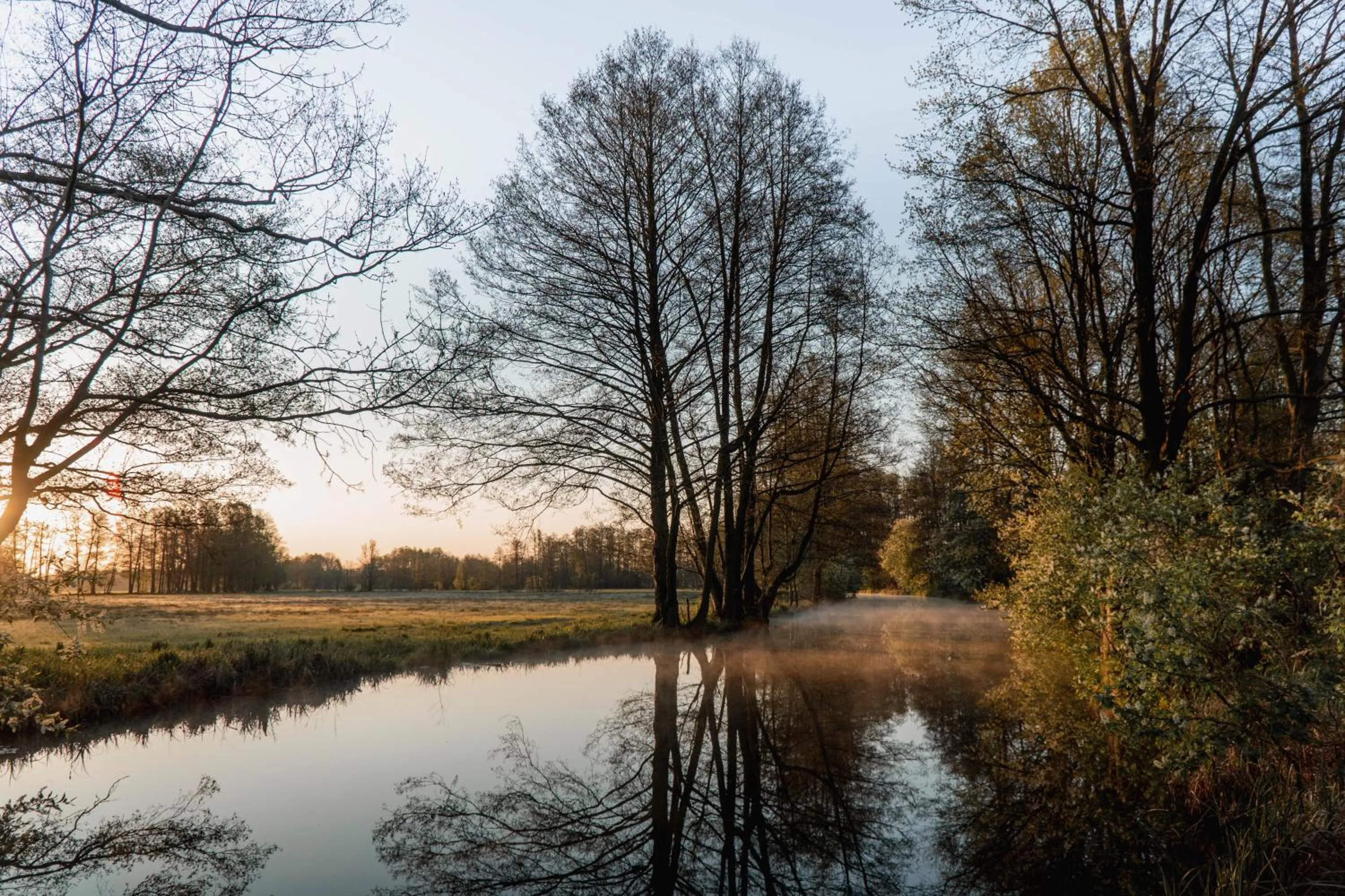 Natural landscape in Waldhotel Eiche