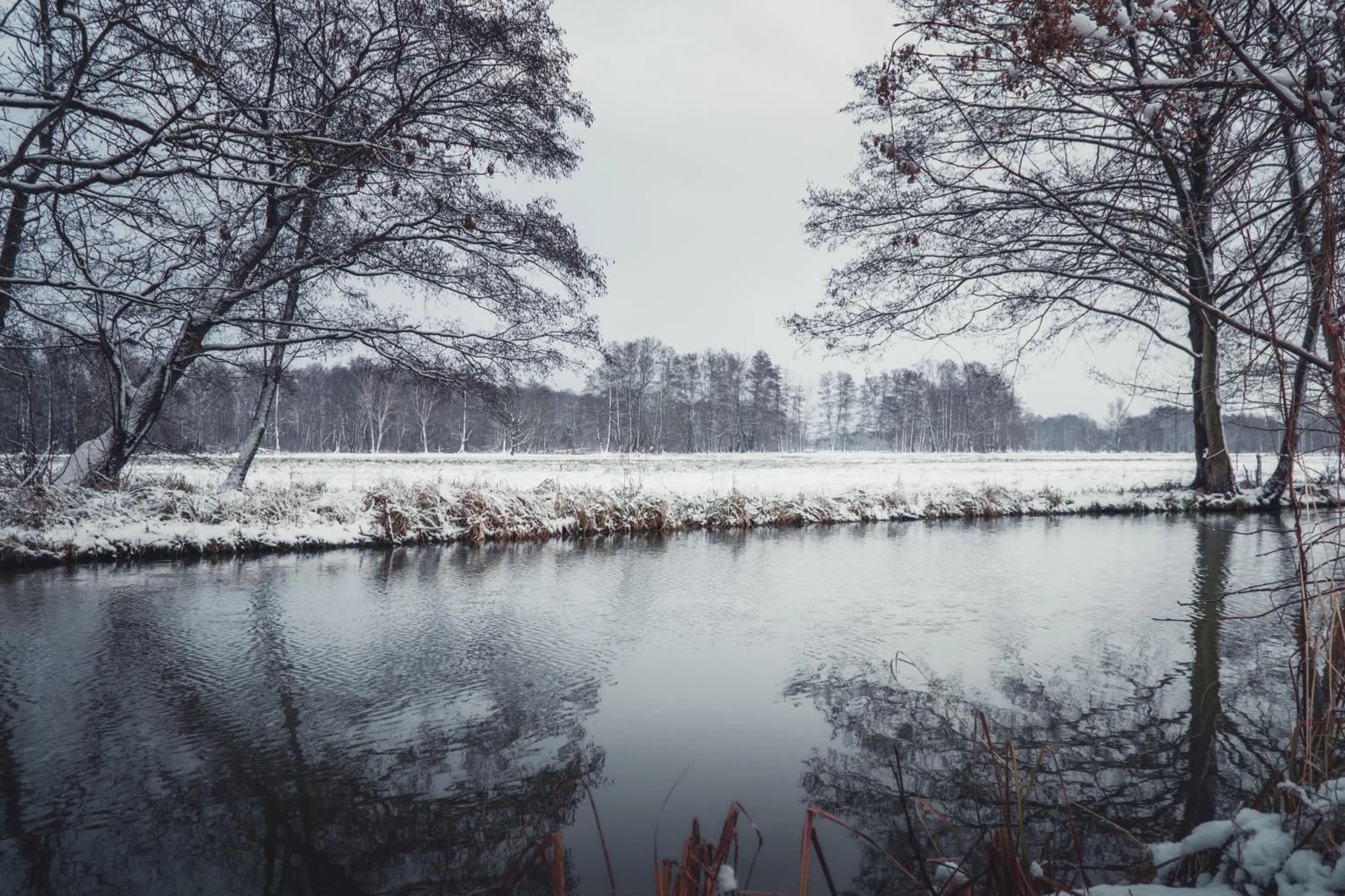 Staff in Waldhotel Eiche