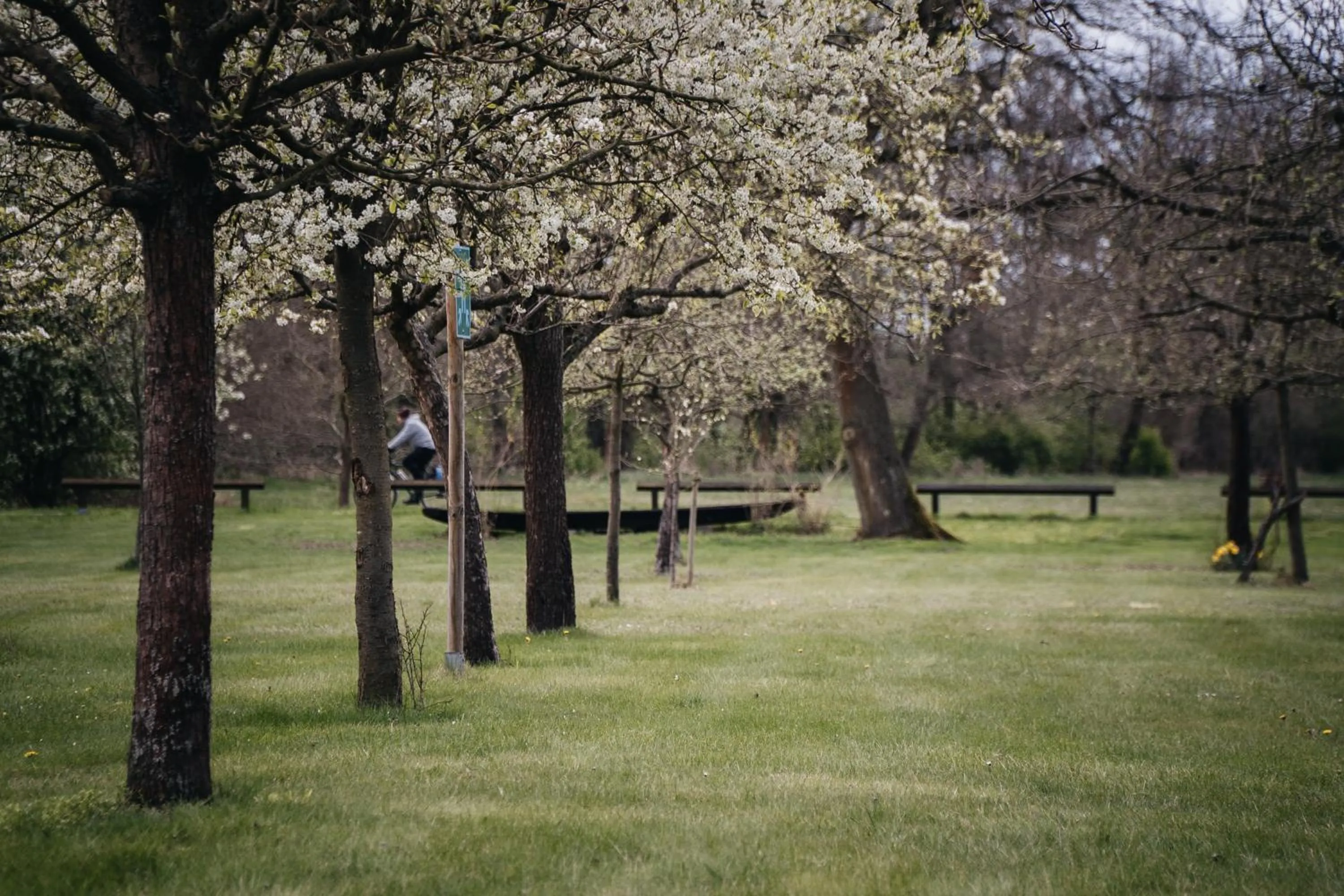 Natural landscape in Waldhotel Eiche