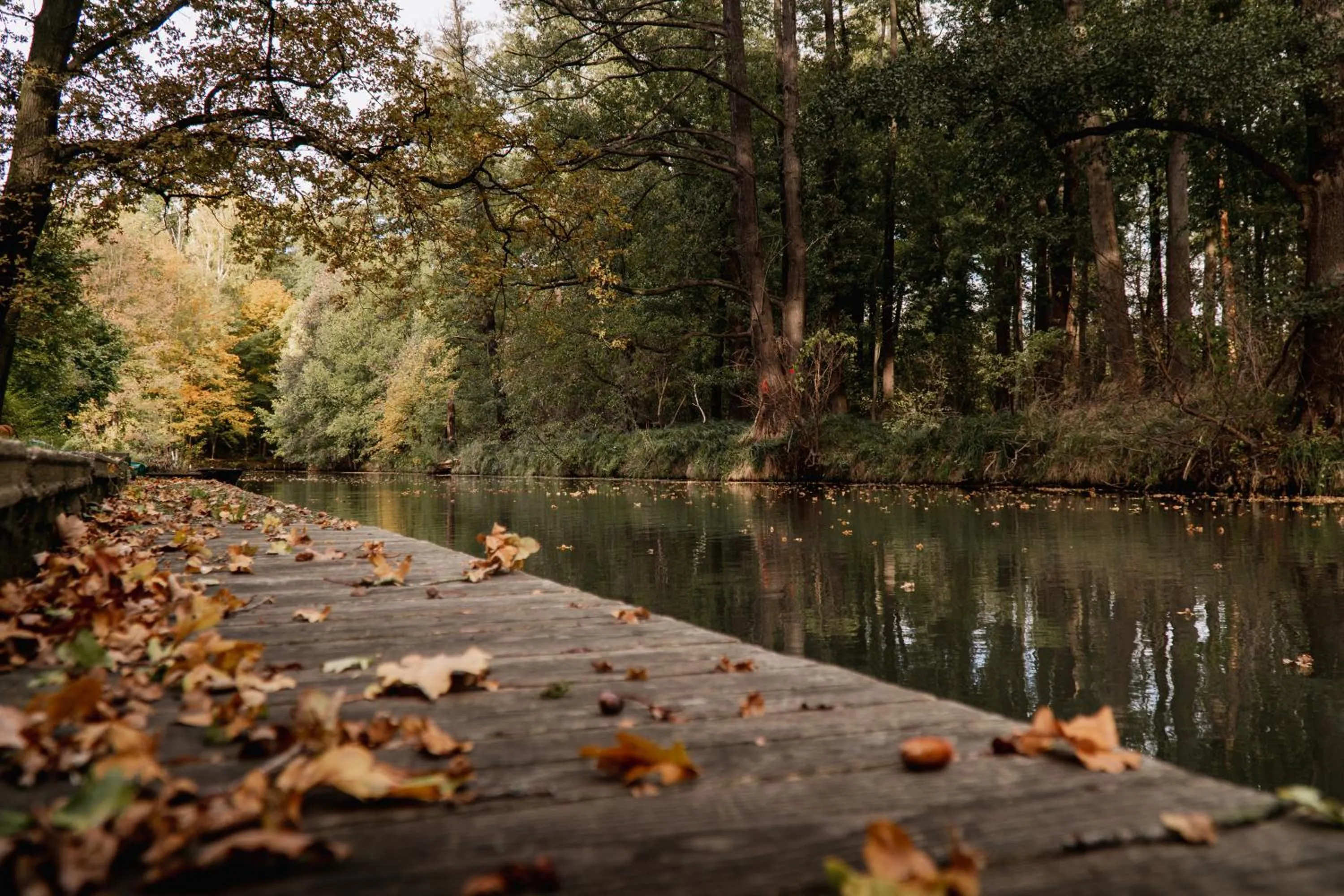 Staff in Waldhotel Eiche