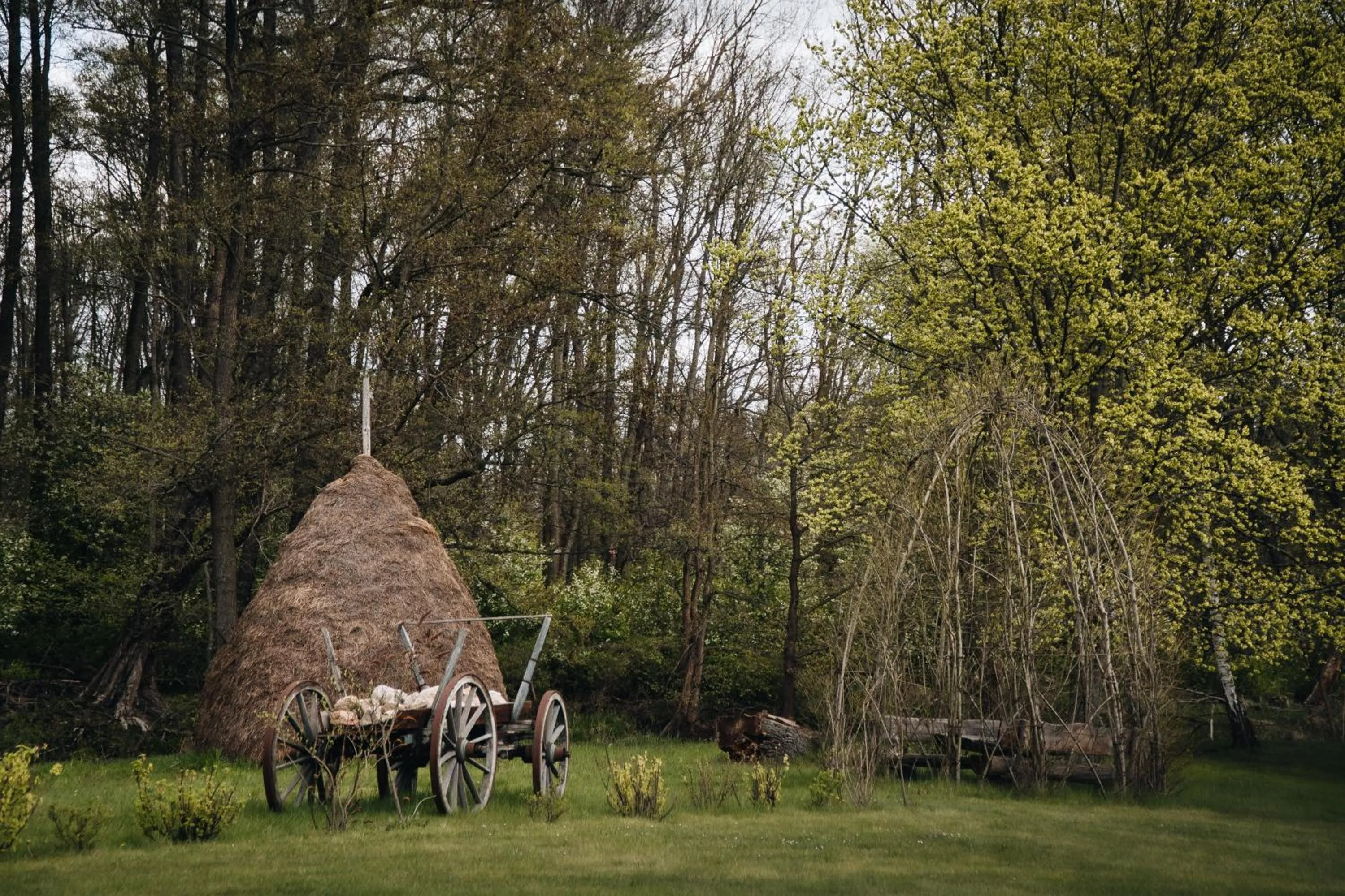 Garden in Waldhotel Eiche
