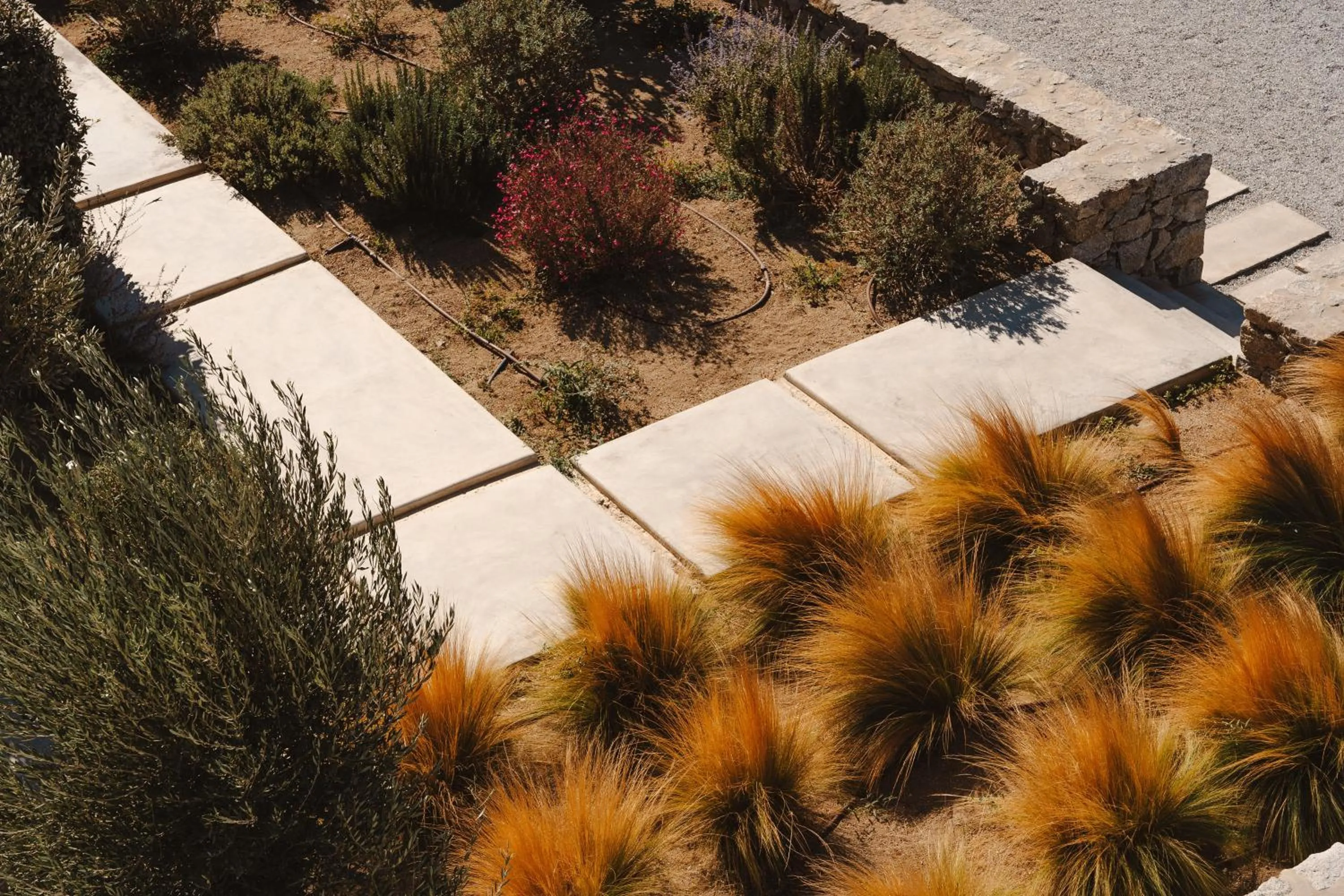 Garden in Archon Seaside Retreat