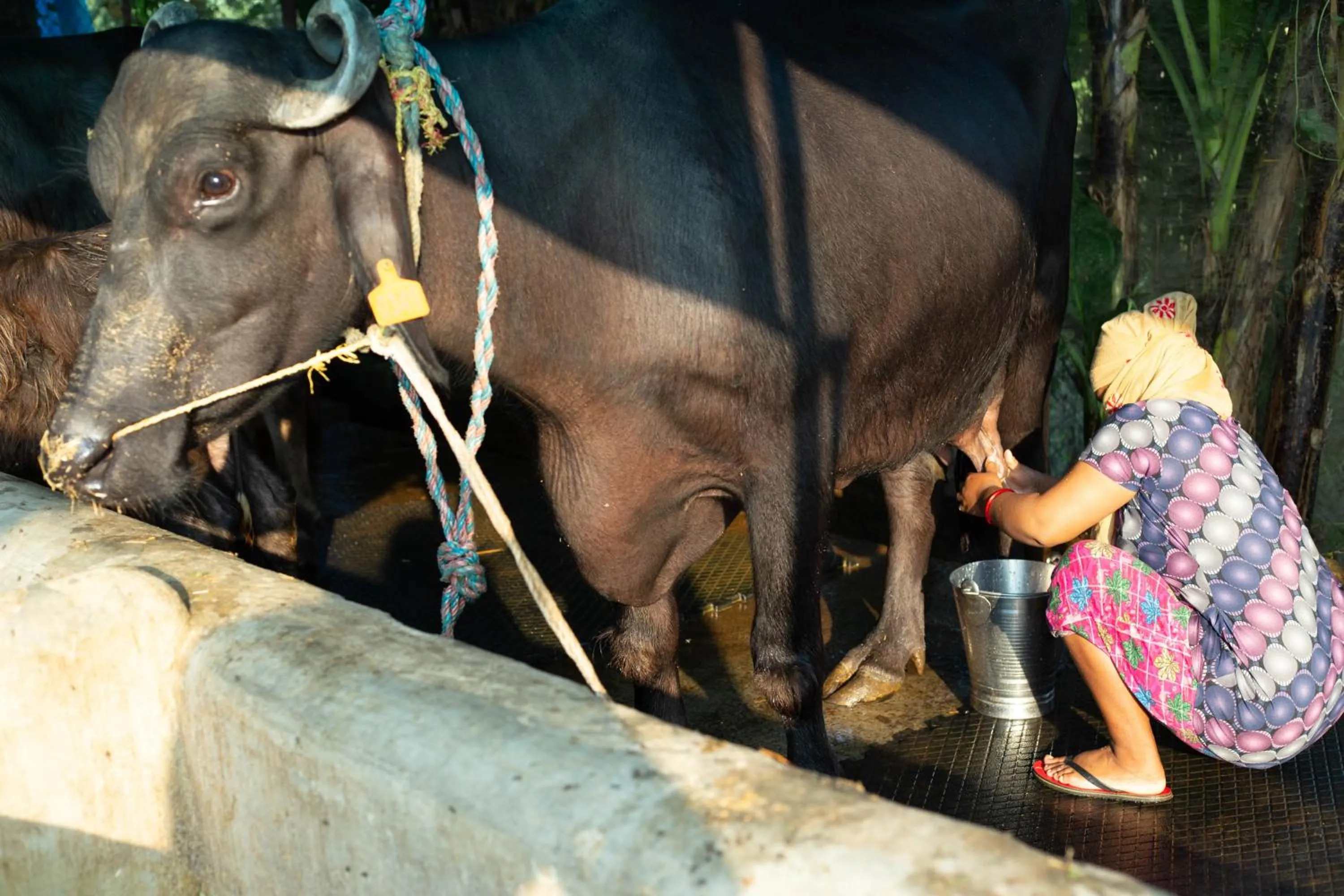 Activities in Lumbini Palace Resort