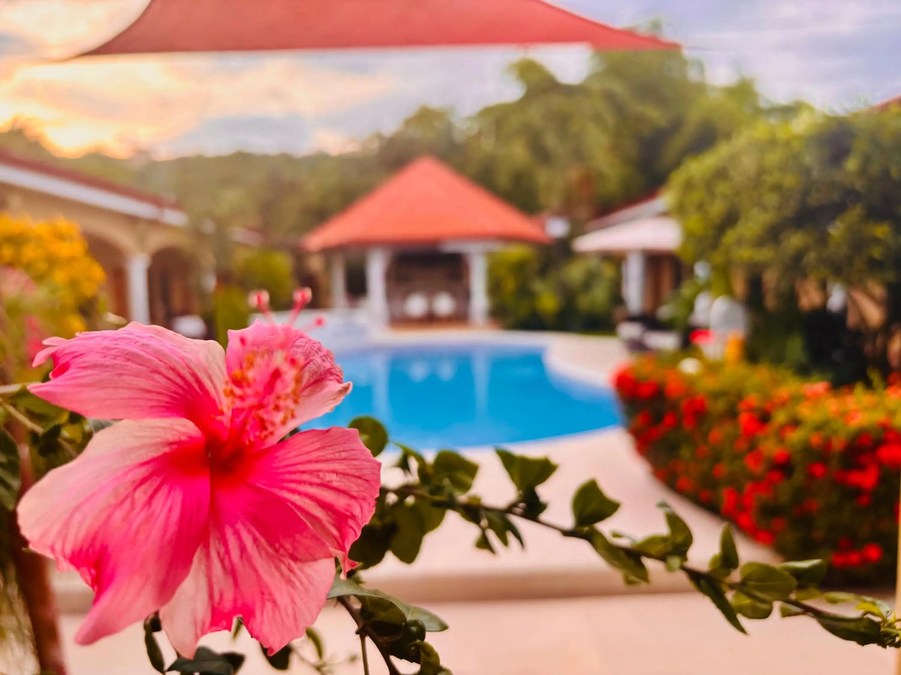 Las Brisas Resort and Villas