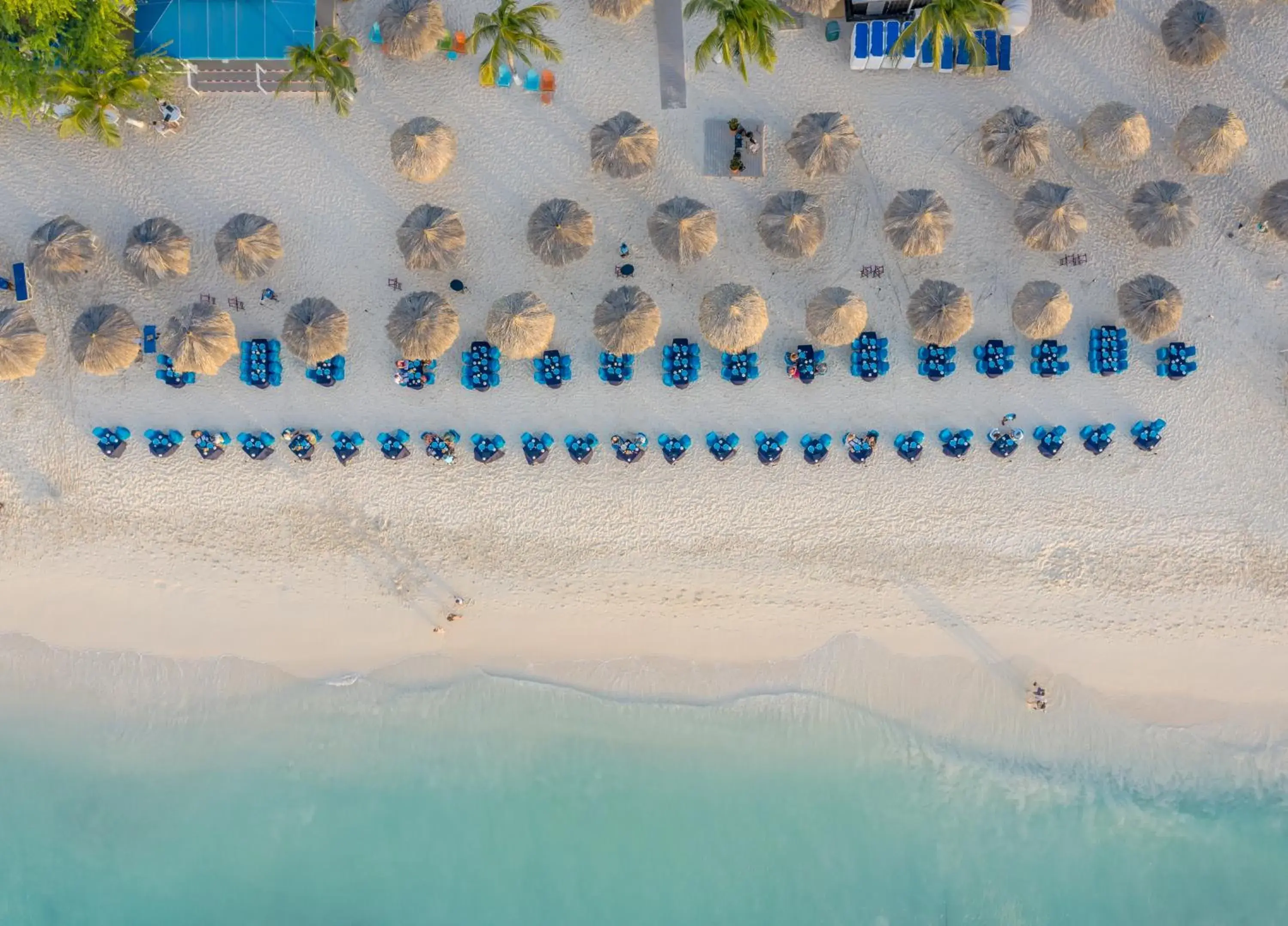 Restaurant/places to eat in Amsterdam Manor Beach Resort Restaurant/places to eat in Amsterdam Manor Beach Resort