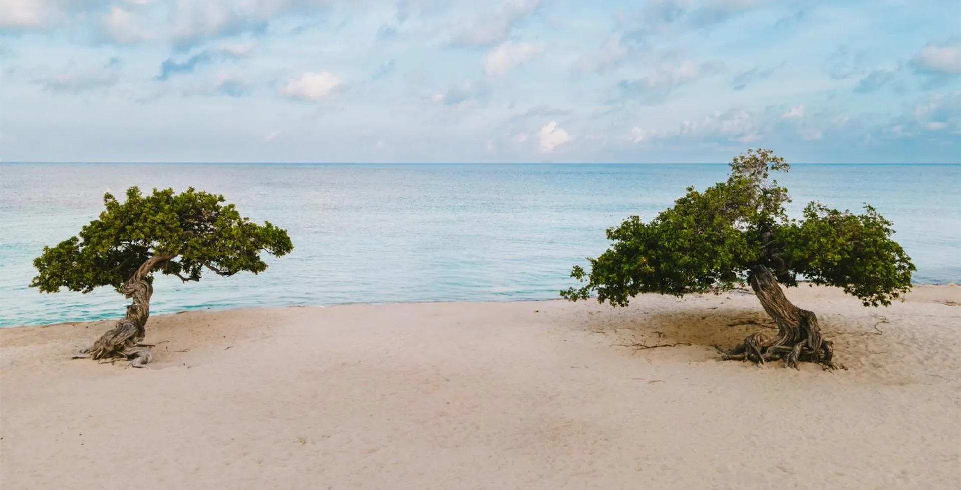 Beach in Amsterdam Manor Beach Resort