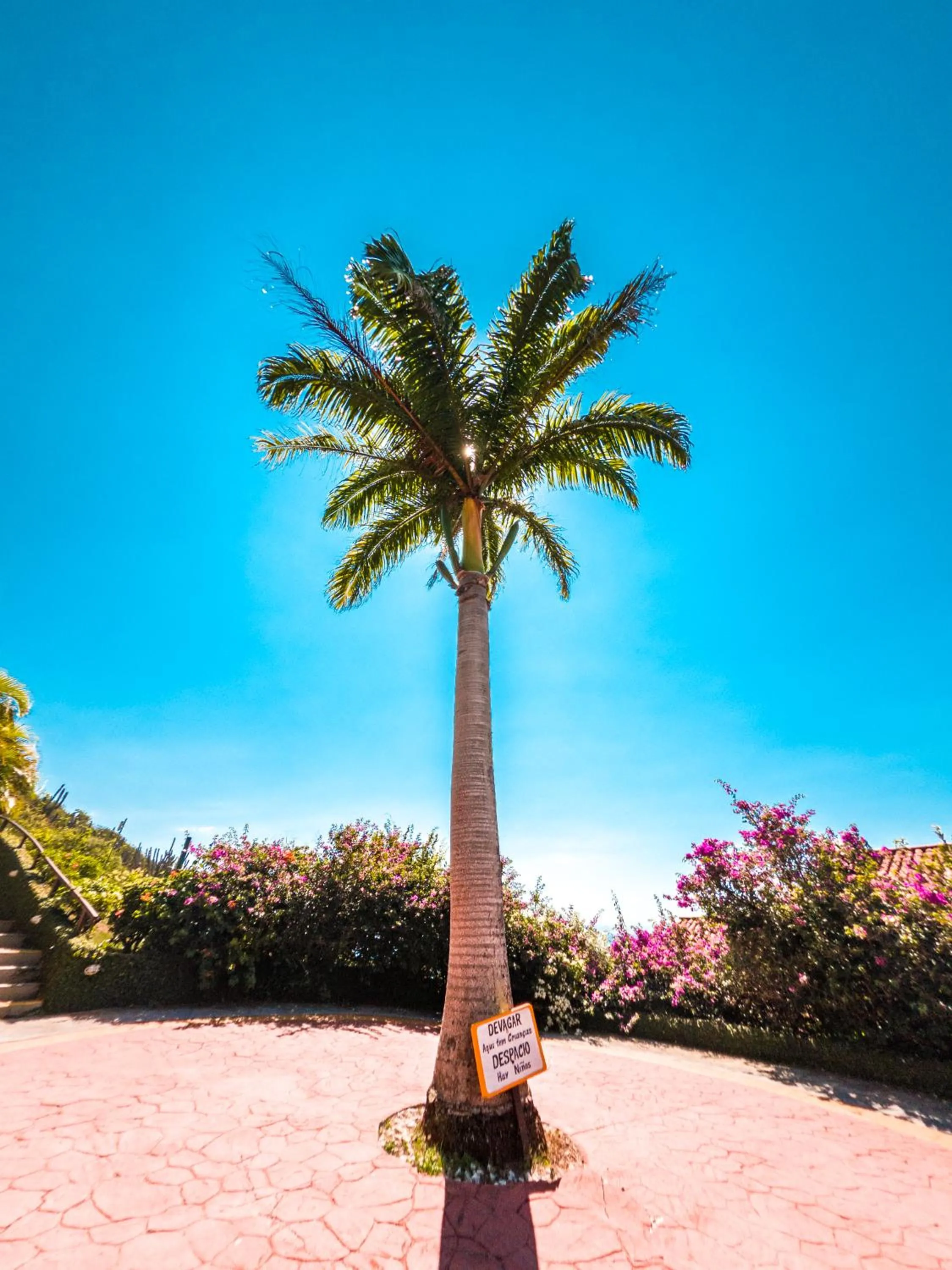 View (from property/room) in La Boheme Hotel e Apart Hotel