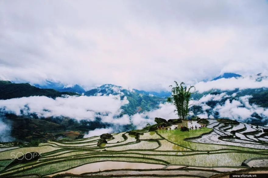 SAPA KING HOTEL HUNG VUONG HOTEl