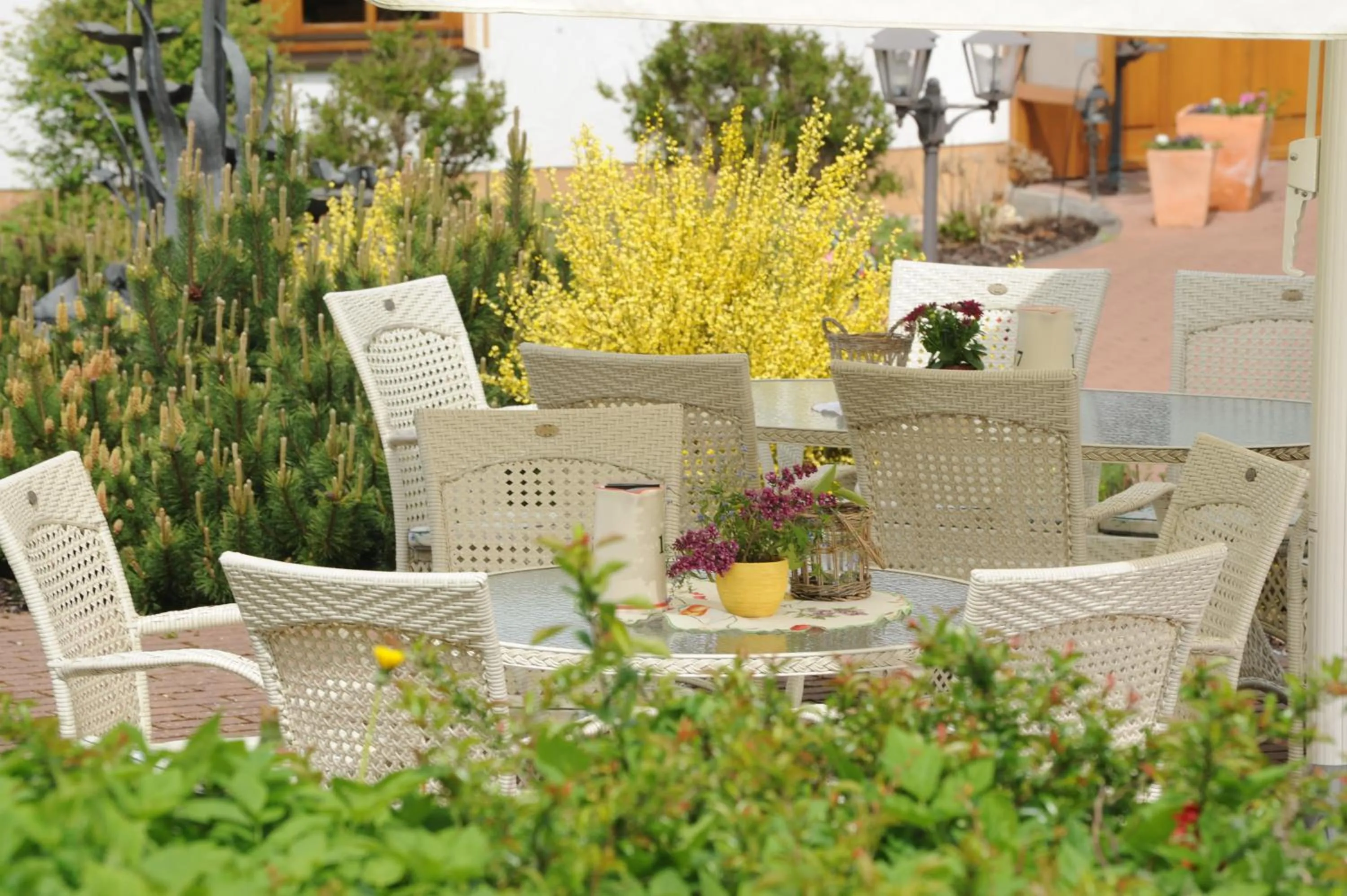 Restaurant/places to eat in Hotel Freund - Privathotels Dr Lohbeck