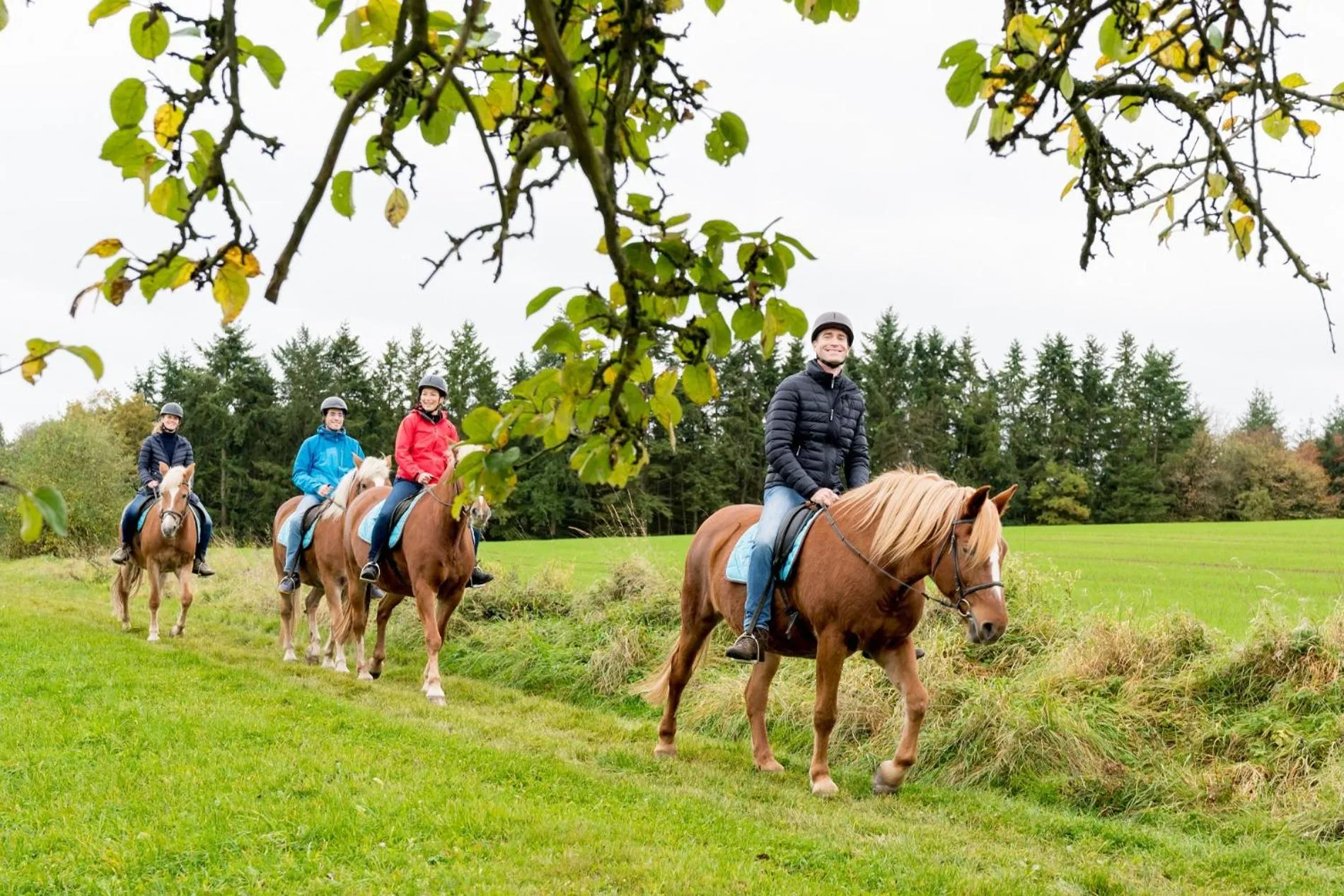 Horse-riding in Hotel Freund - Privathotels Dr Lohbeck