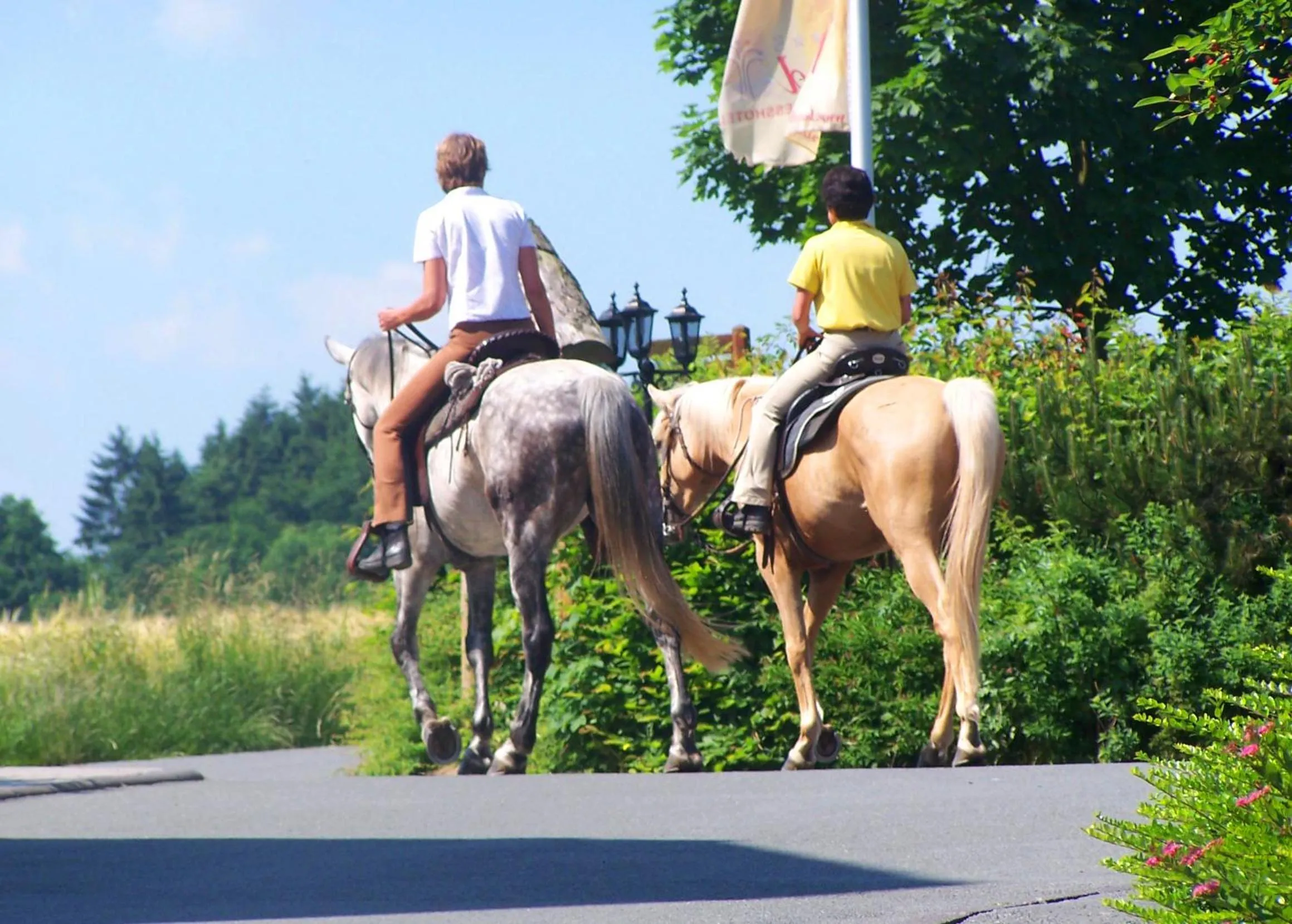 Horse-riding in Hotel Freund - Privathotels Dr Lohbeck