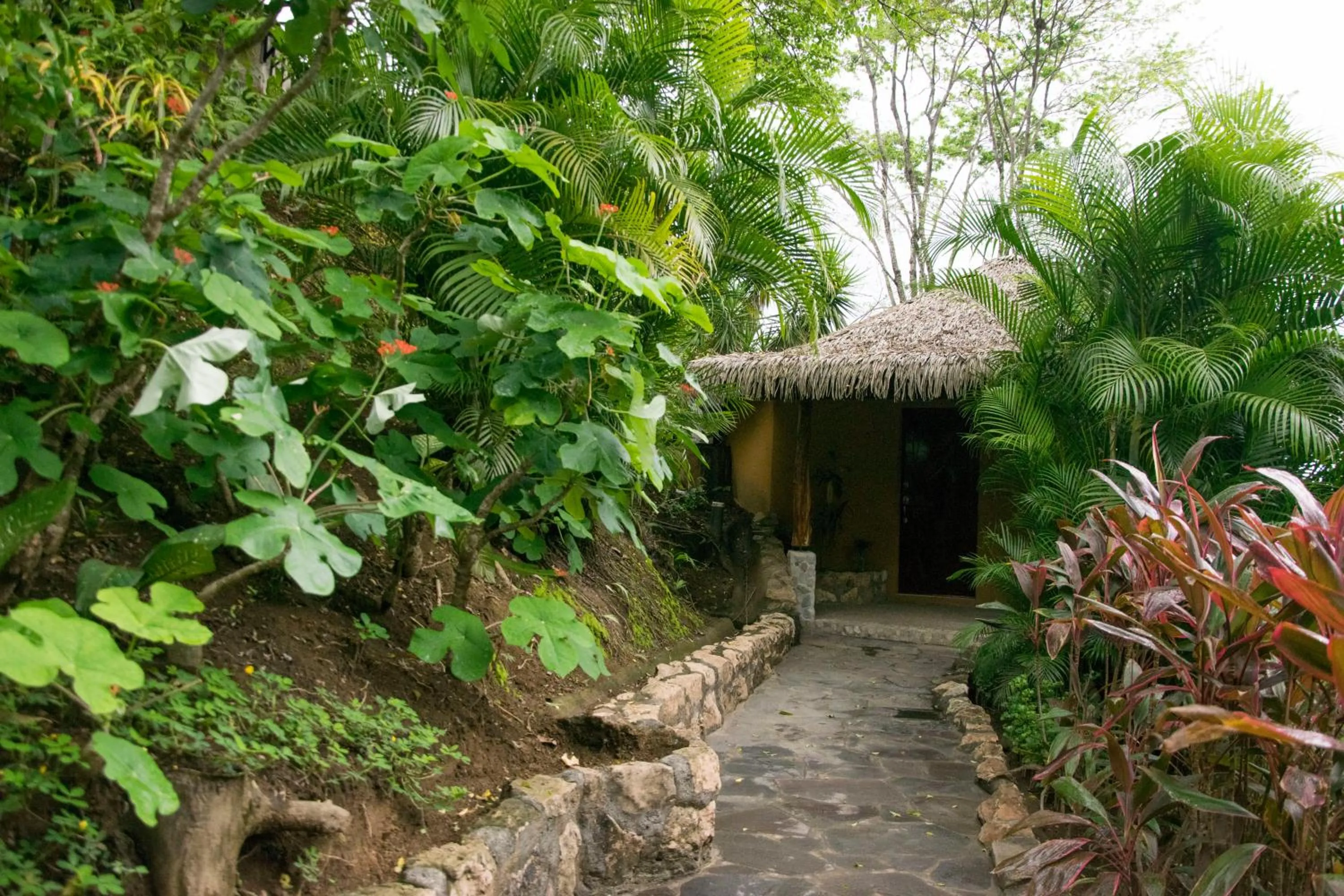 Swimming pool in Hotel Vista de Olas