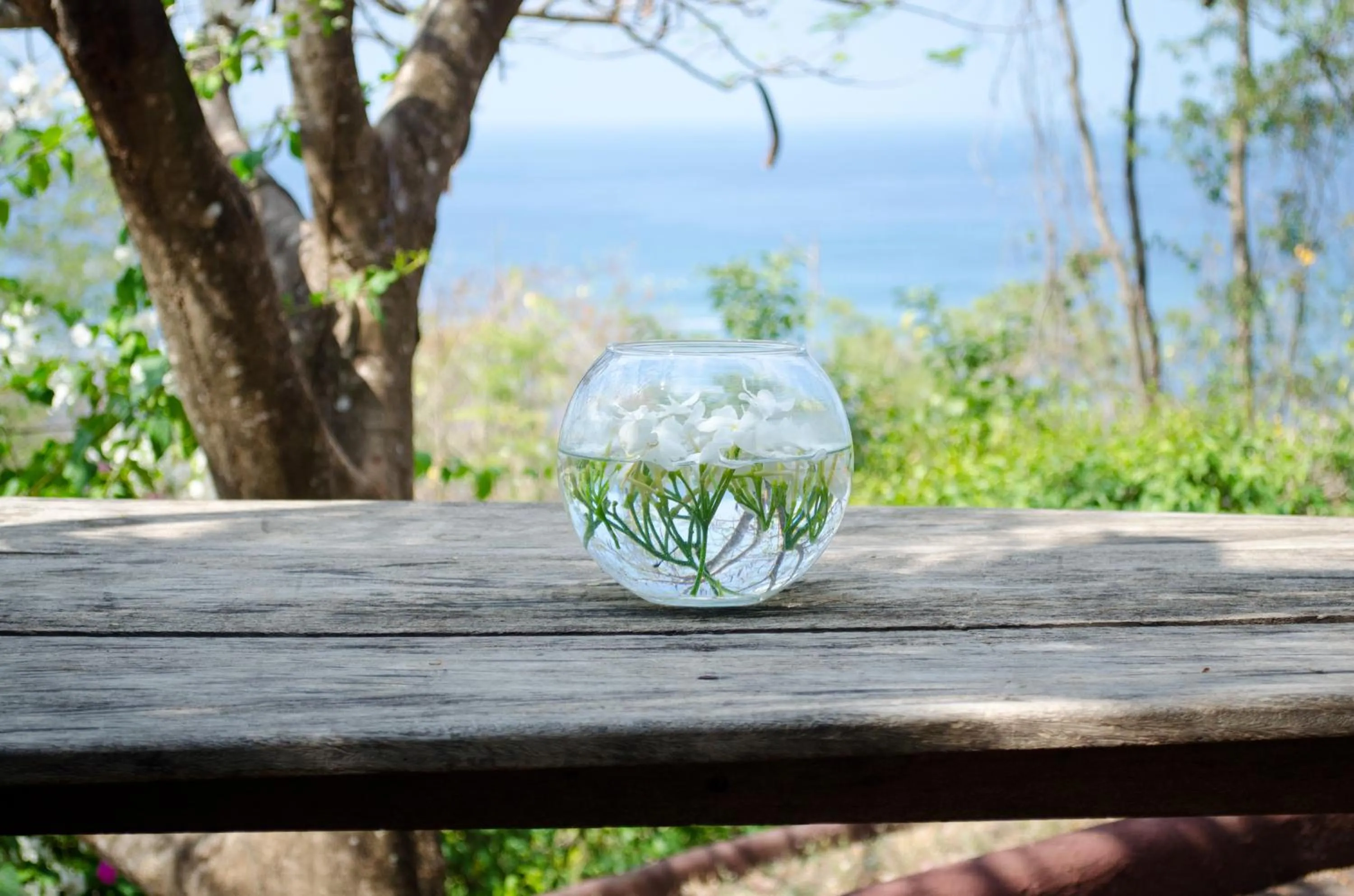 View (from property/room) in Hotel Vista de Olas