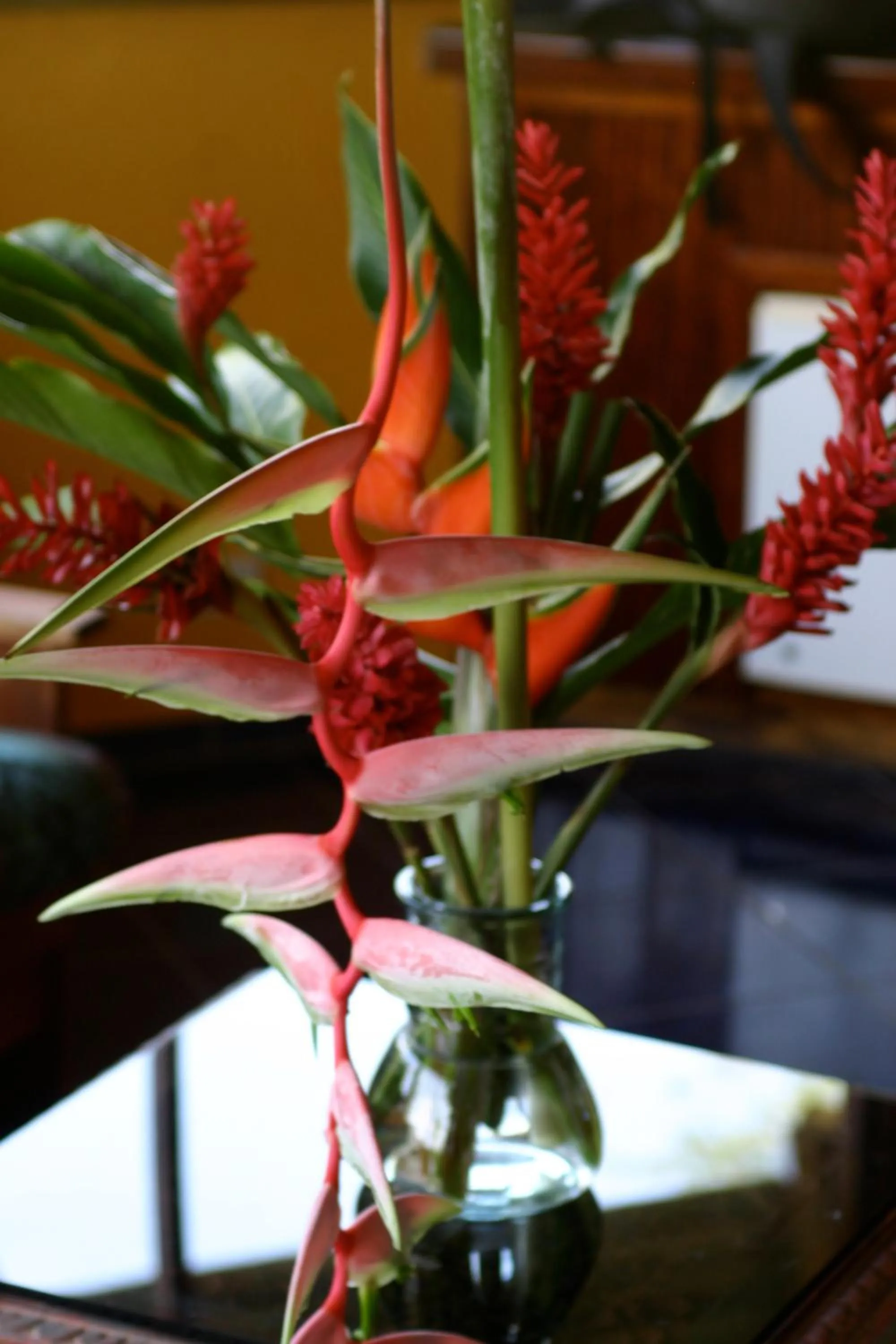 Garden in Hotel Vista de Olas