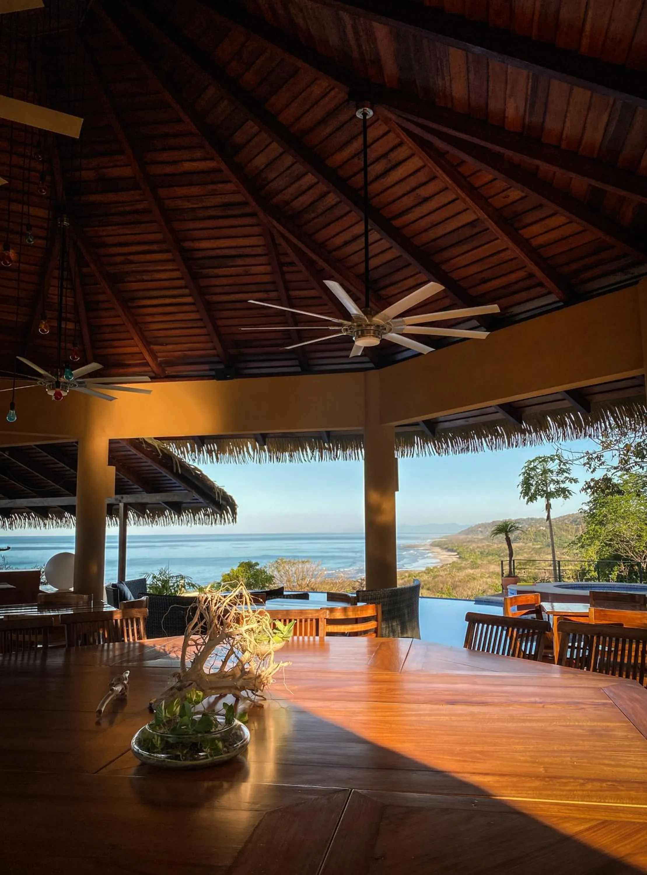 Natural landscape in Hotel Vista de Olas