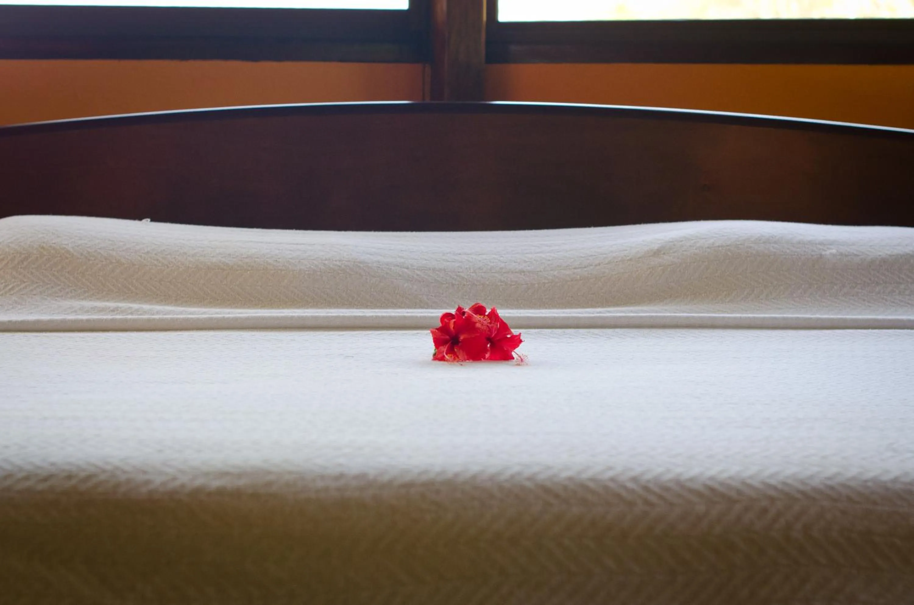 Bed in Hotel Vista de Olas