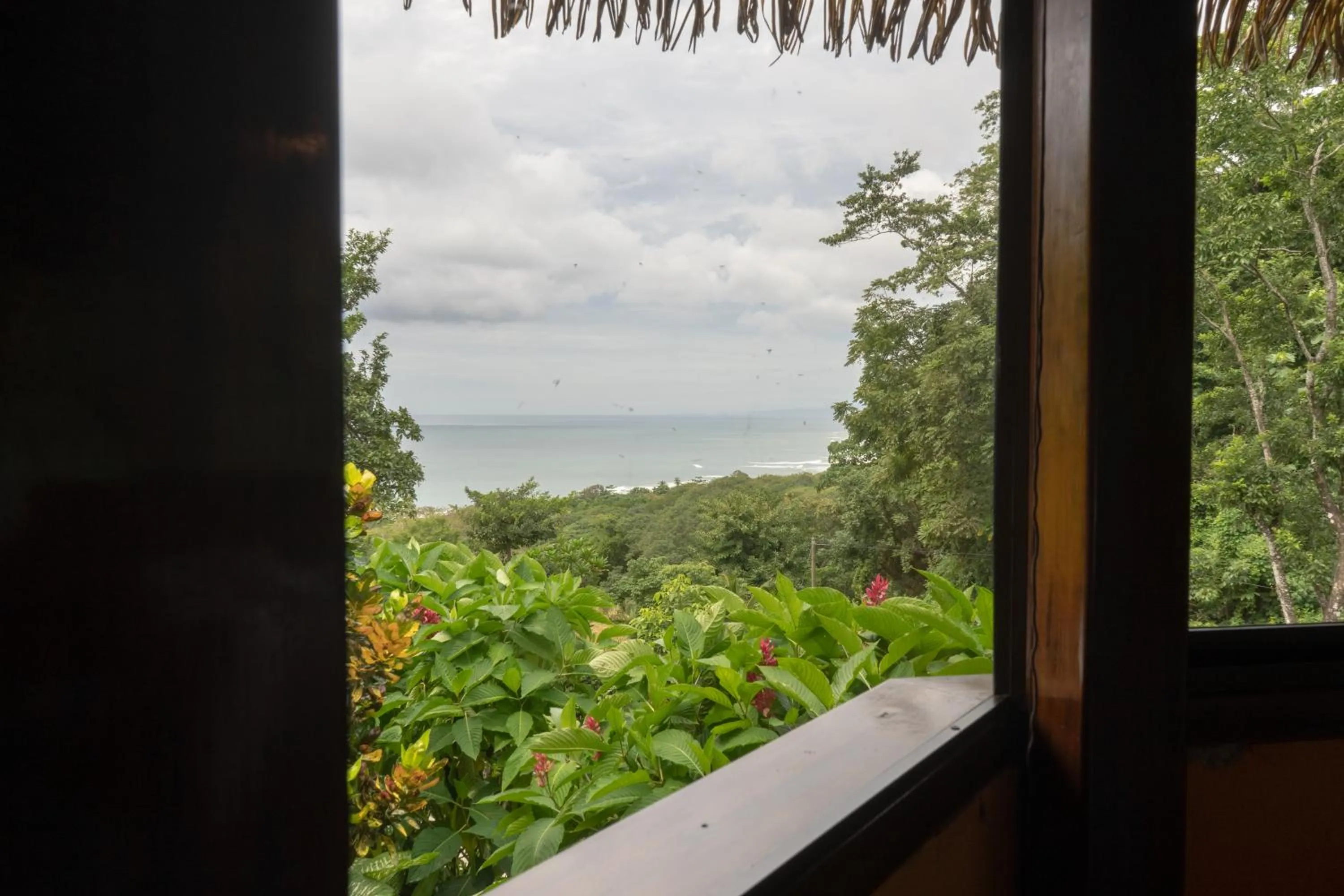 View (from property/room) in Hotel Vista de Olas