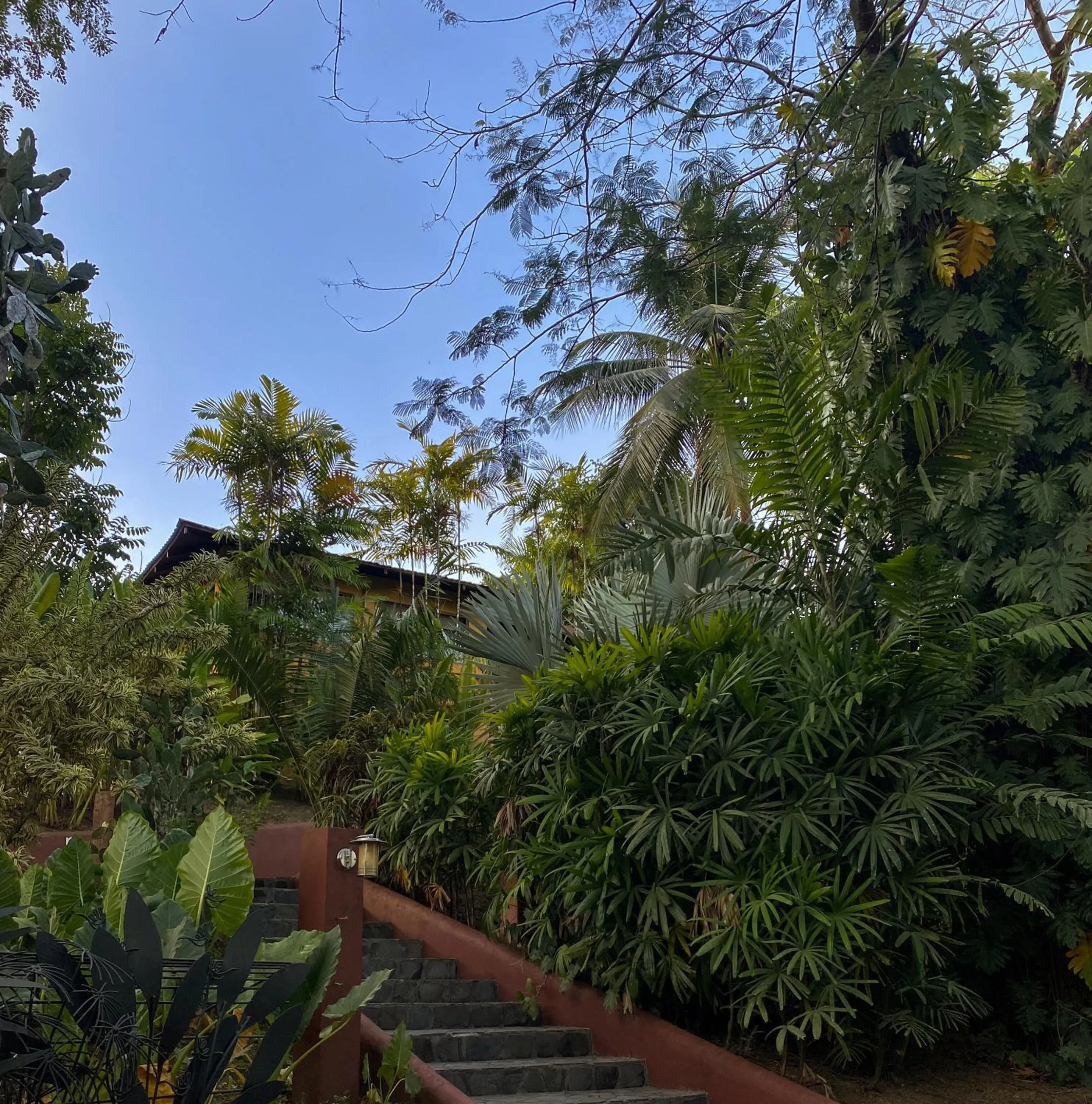 Garden view in Hotel Vista de Olas