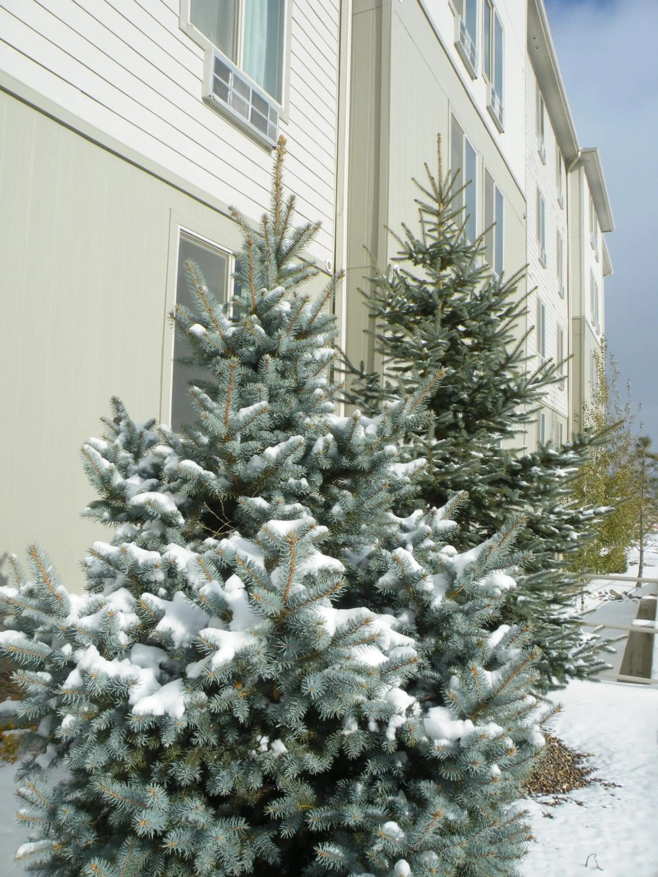 Property building in Bakken Airport XWA Hotel & Studios