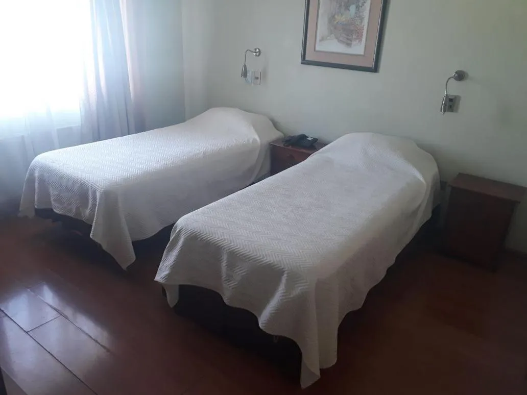 Standard Twin Room in Hotel Quinchamali