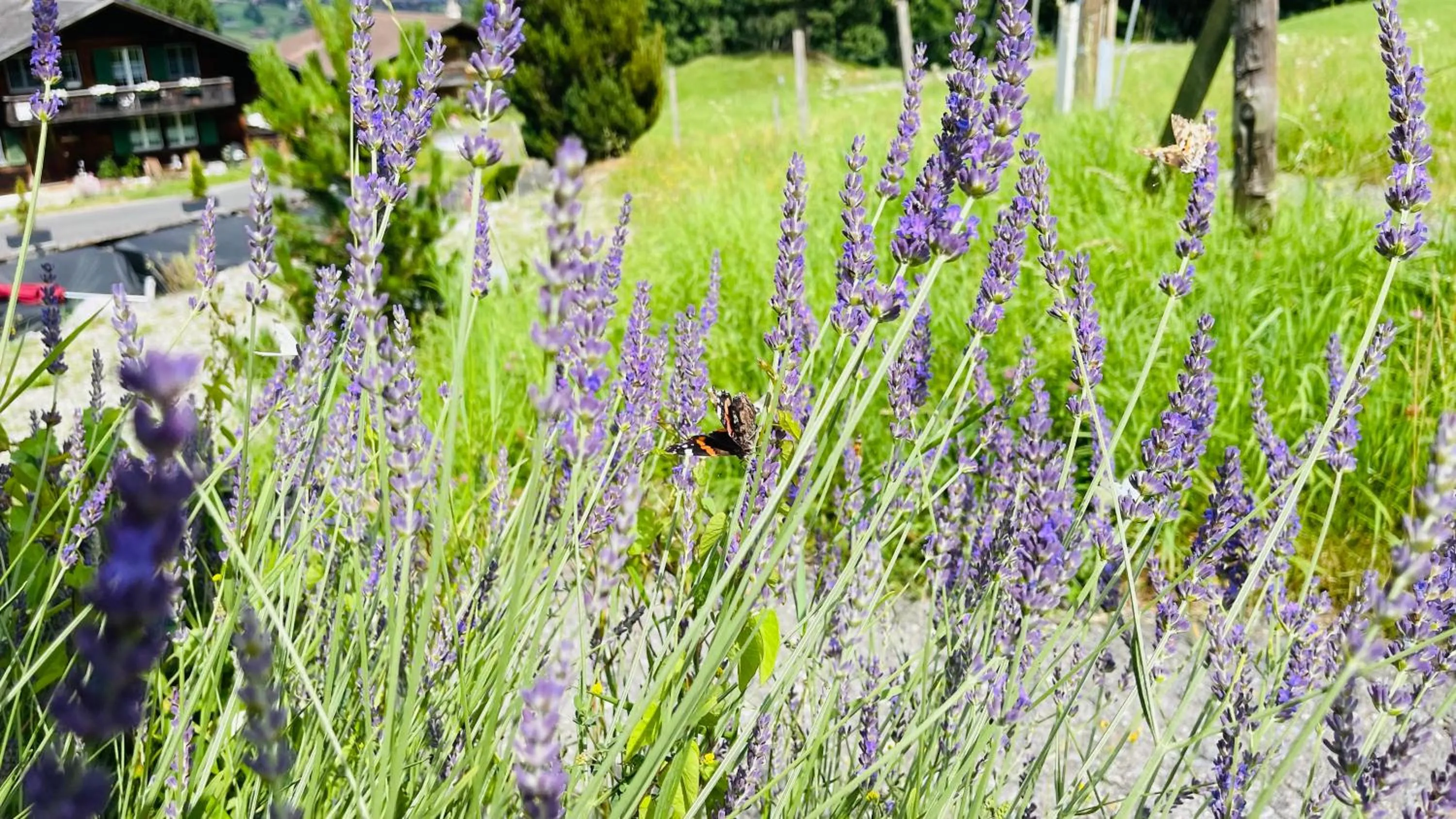 Spring in Hotel Jägerstübli Grindelwald