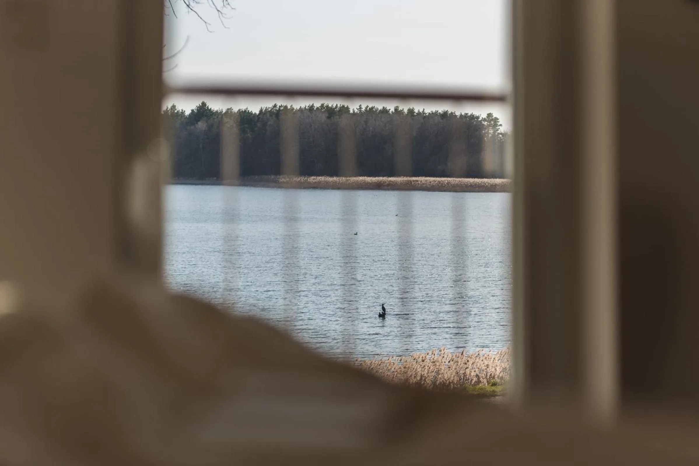 Bedroom in 5 Sterne Ferienhaus direkt am See mit Sauna-Kamin-Garten